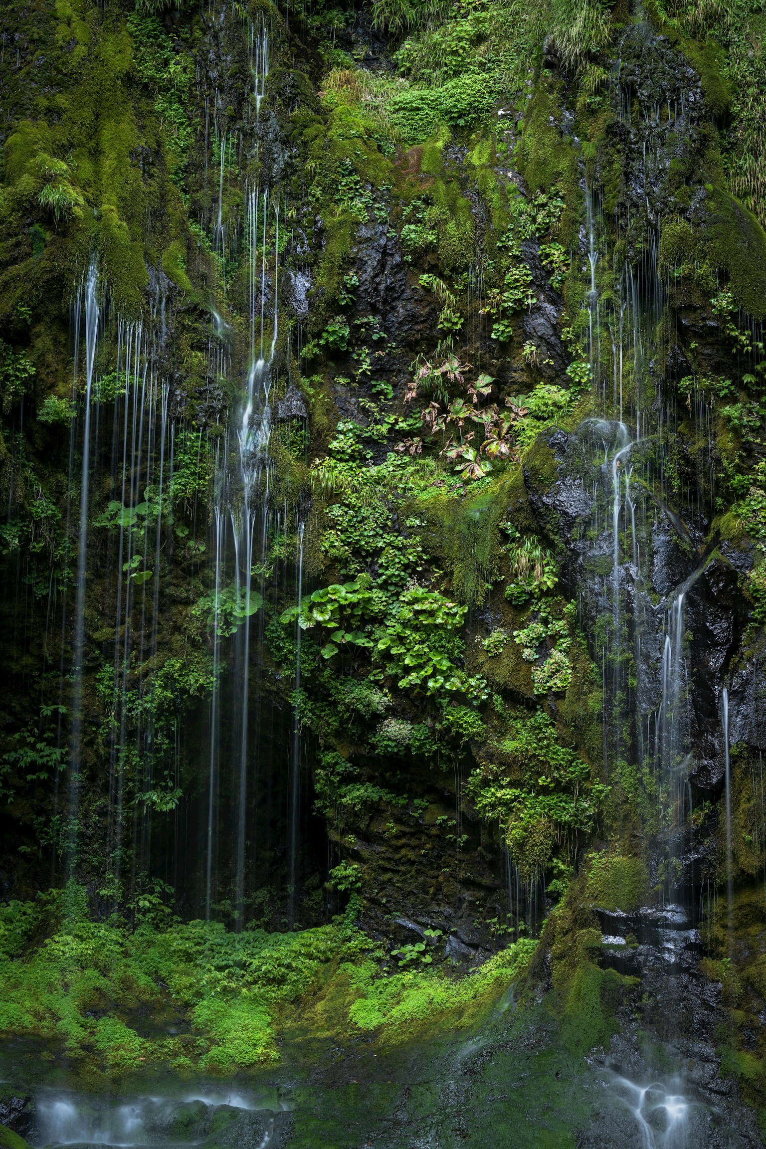 photo-KBWaQtSTEv53YdYXdepF-image