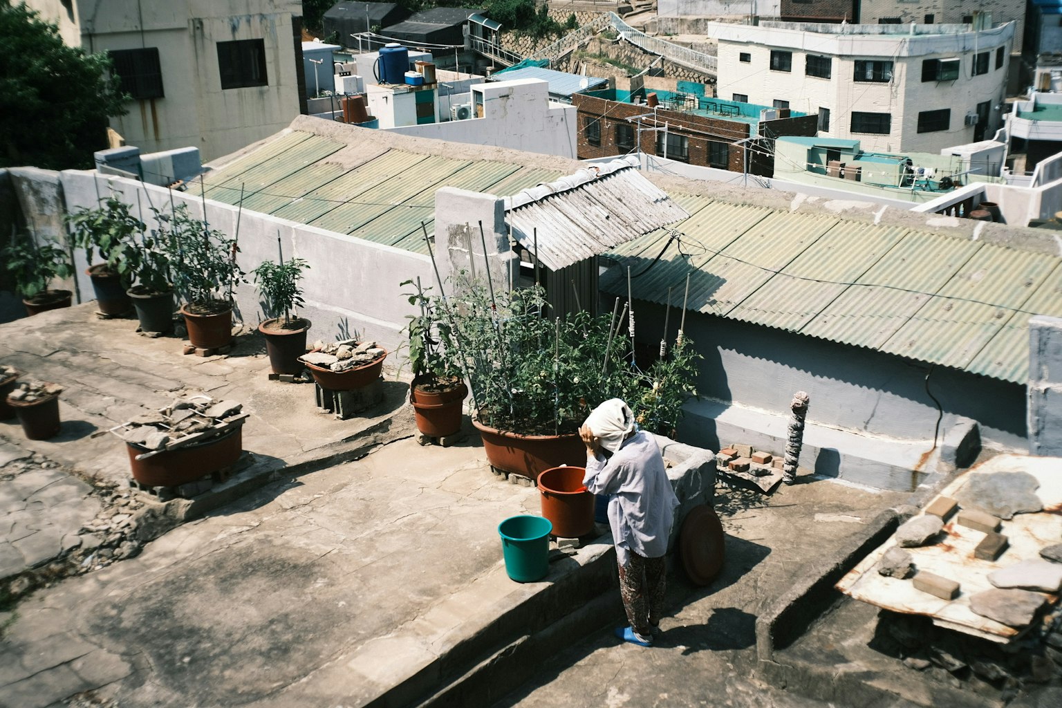 Una persona mayor cuidando plantas en un techo con macetas y edificios circundantes visibles