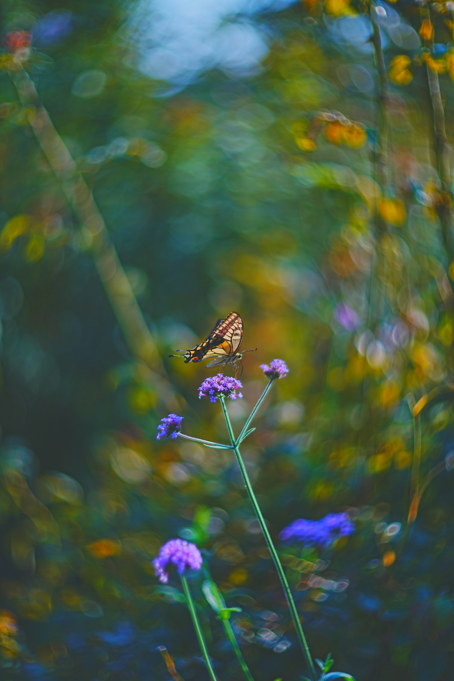 photo-KCOrjehVq9wv2sXEUcnK-image