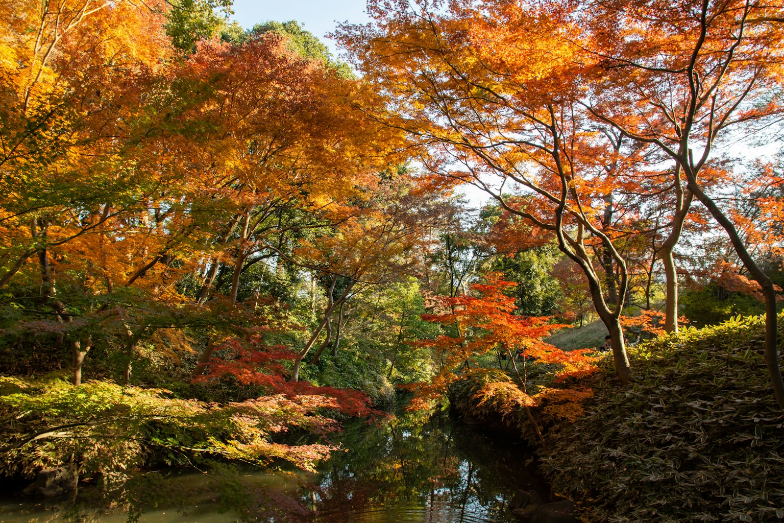Ruhige Landschaft mit lebhaftem Herbstlaub, das sich in einem stillen Teich spiegelt