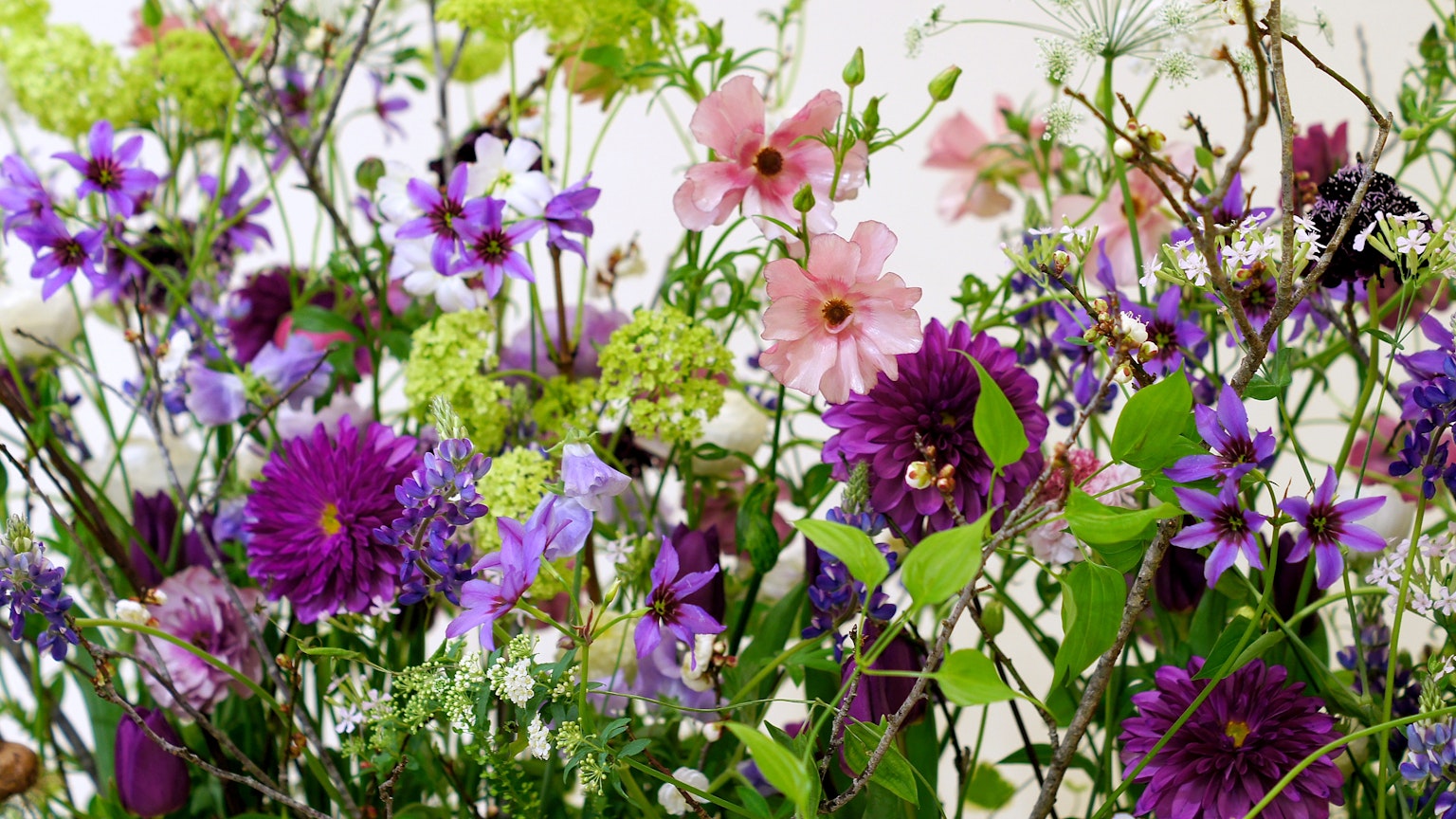 Ein schöner Strauß bunter Blumen in verschiedenen Farbtönen