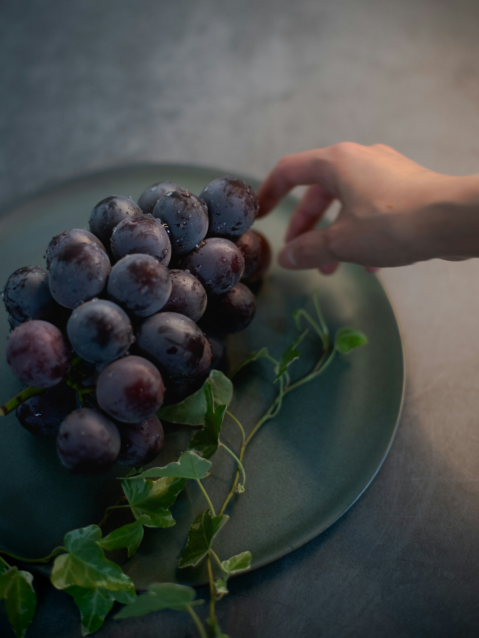 Eine Hand greift nach einem Traubenbündel auf einem grünen Teller