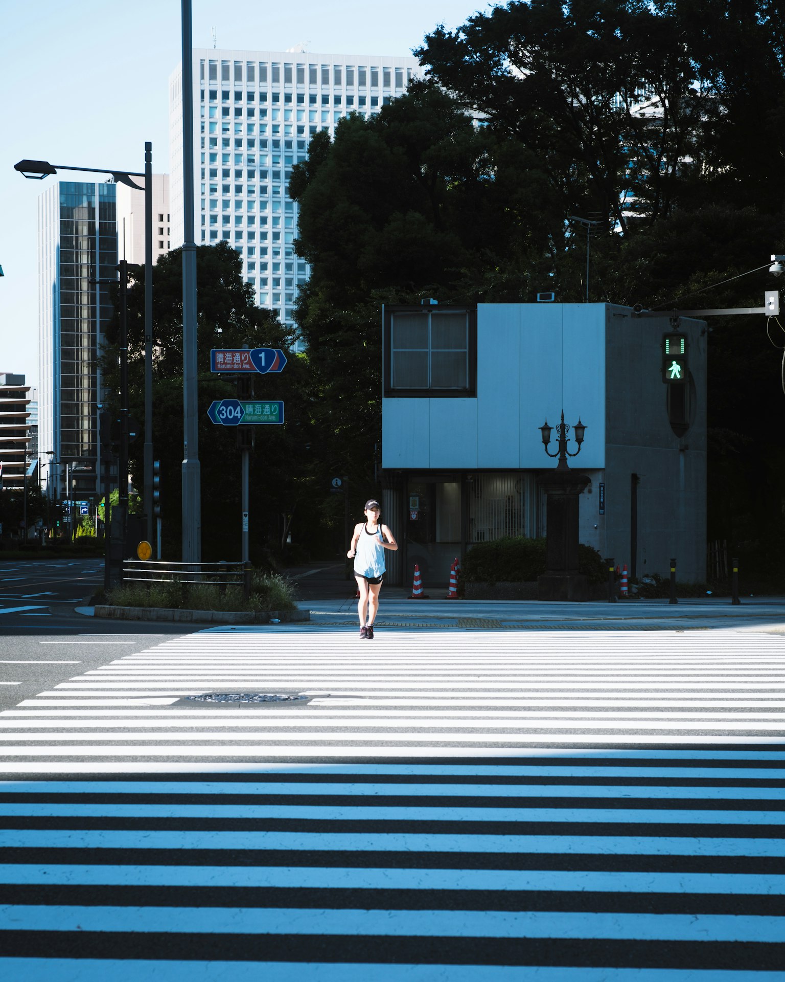 Una persona caminando sobre un paso de cebra de rayas blancas con edificios al fondo
