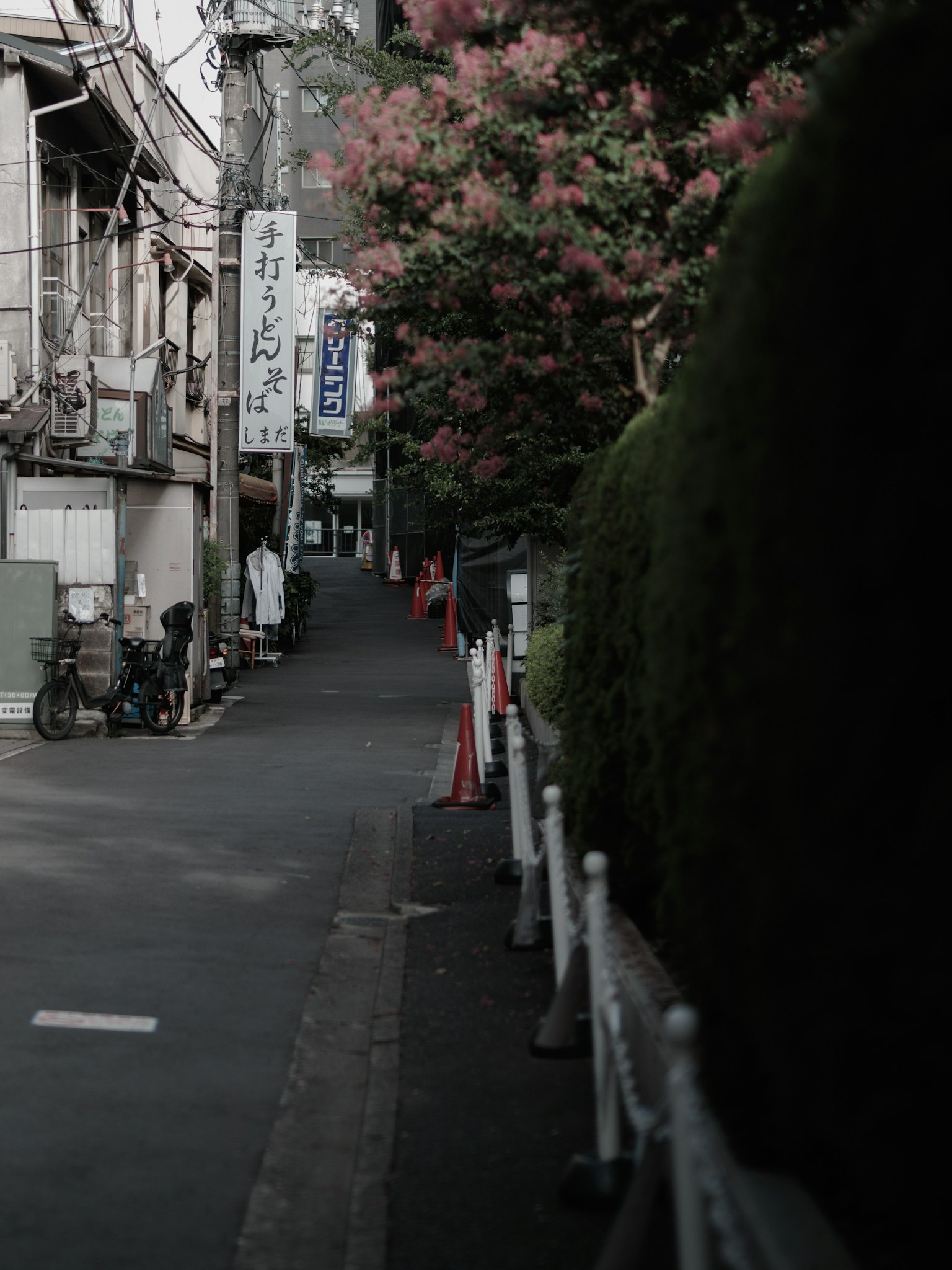 Scène de ruelle tranquille avec des fleurs en fleurs et un vélo