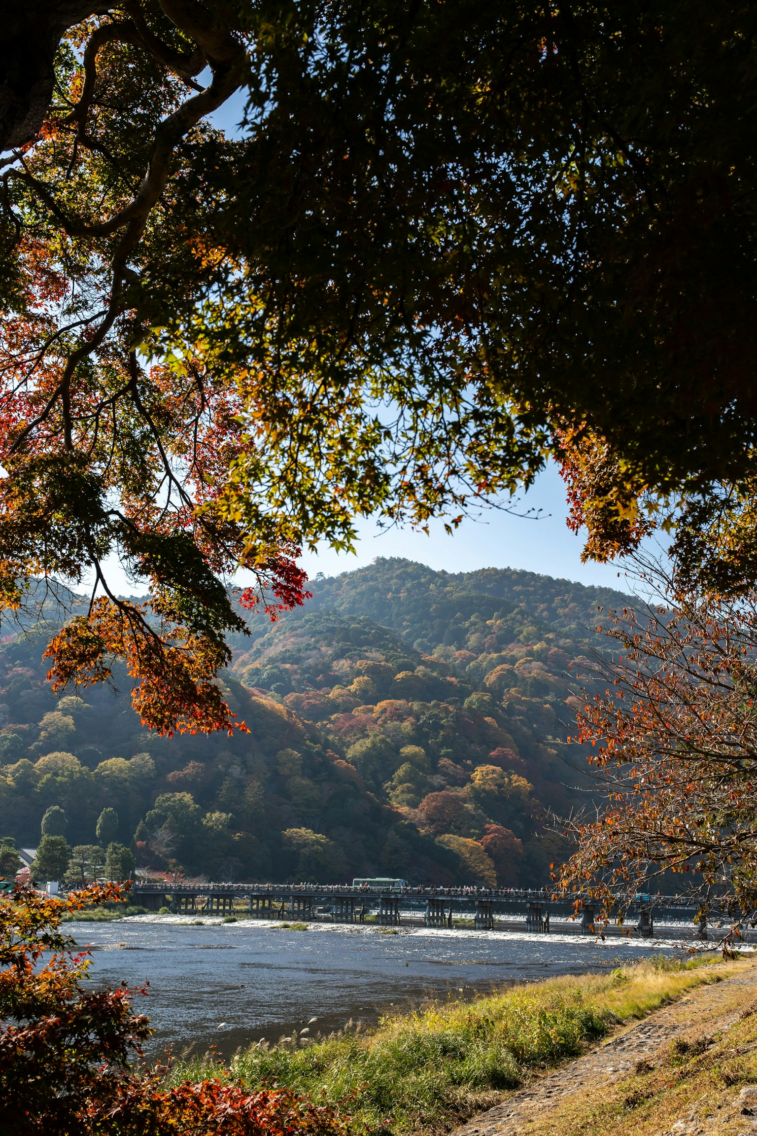 Beautiful autumn landscape with colorful trees and a river, mountains in the background
