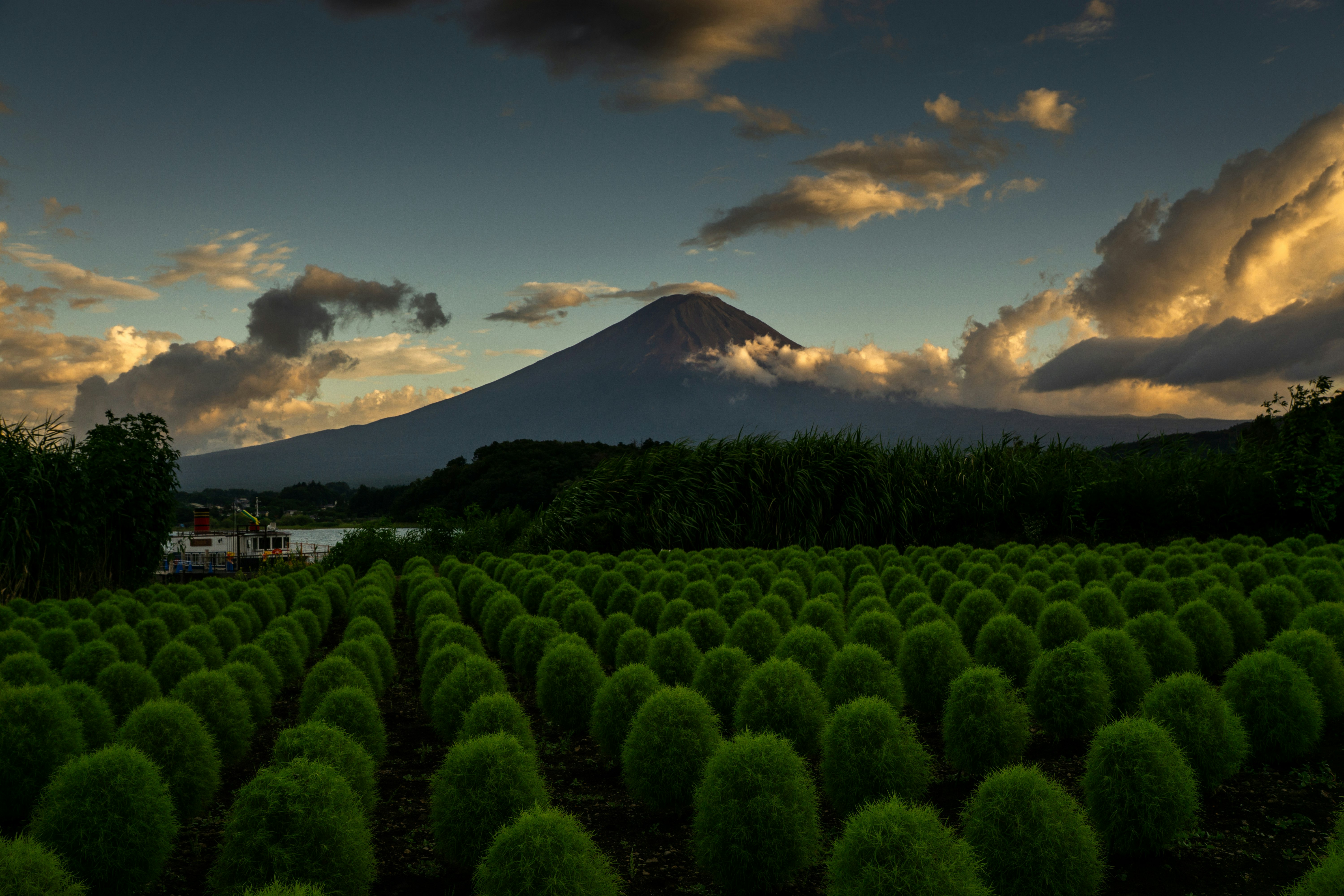 綠色茶園與遠處山峰，夕陽天空