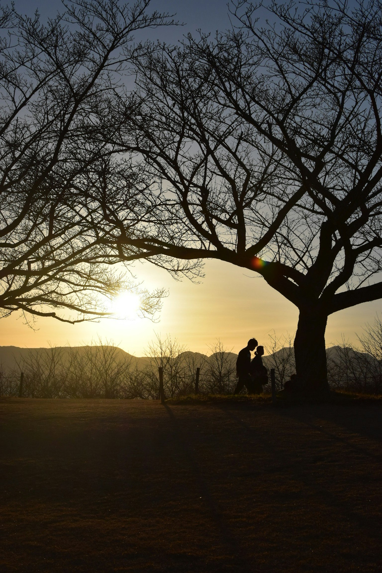 Silueta de dos personas abrazándose bajo un gran árbol con un atardecer de fondo