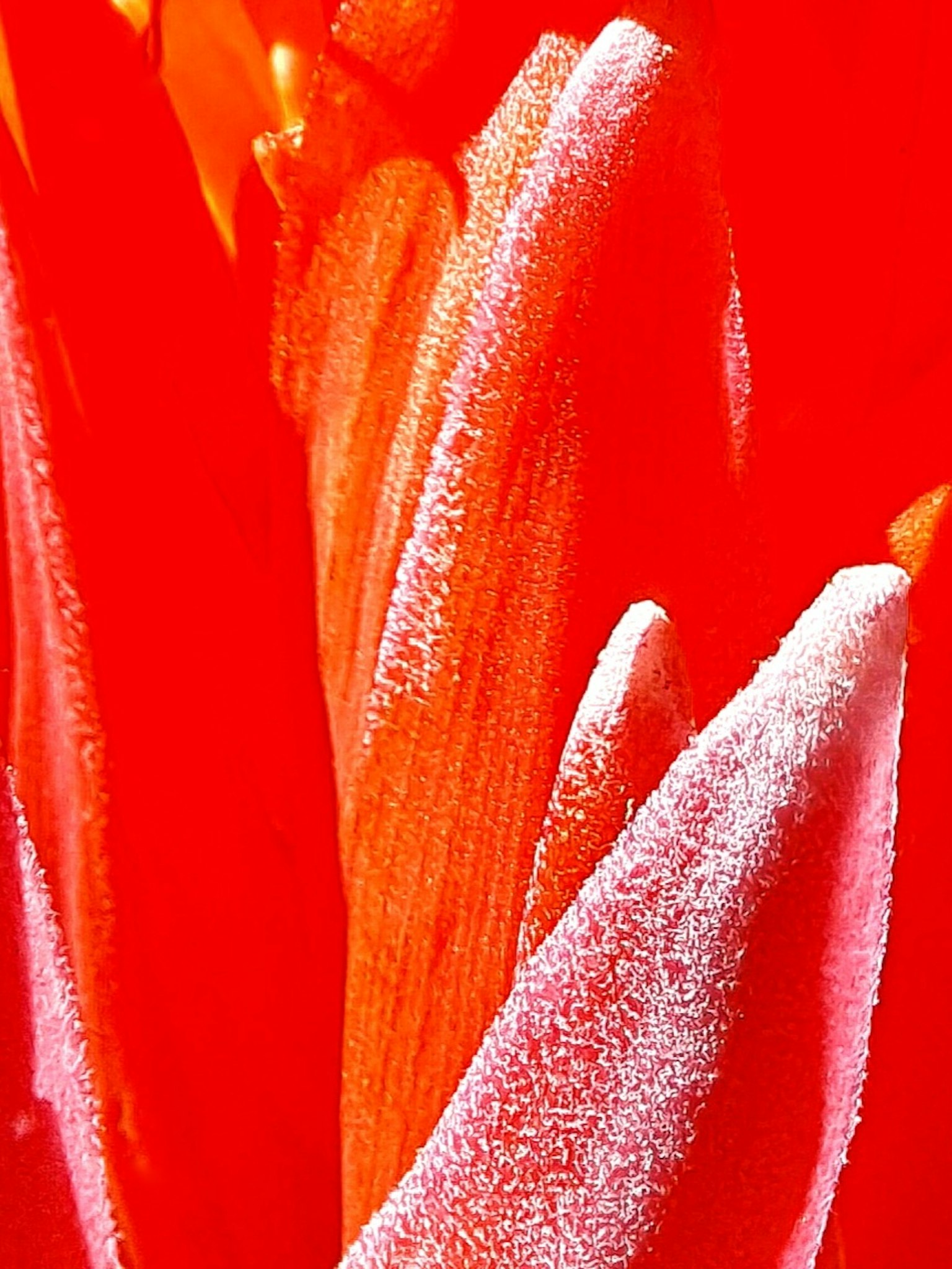 photo-KFM3q2avQXZMqxWkBLeK-image