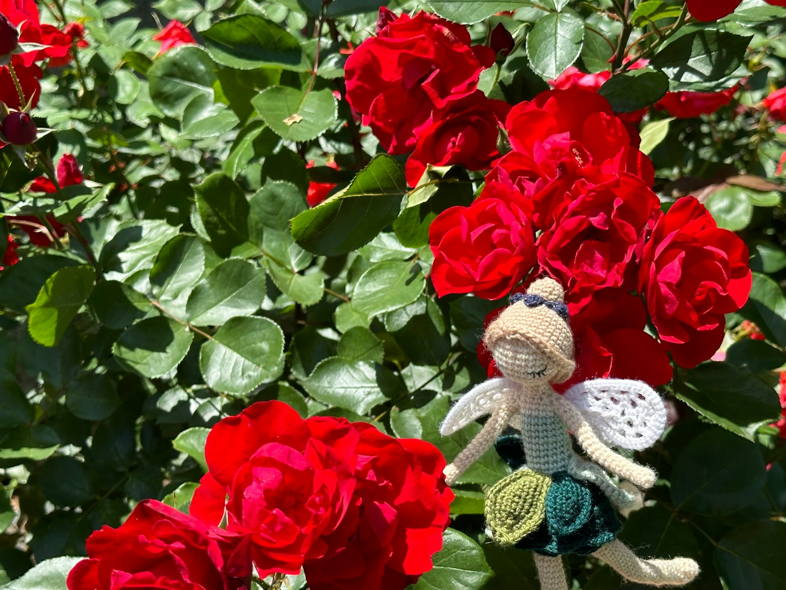 Una piccola bambola fata tra rose rosse vivaci