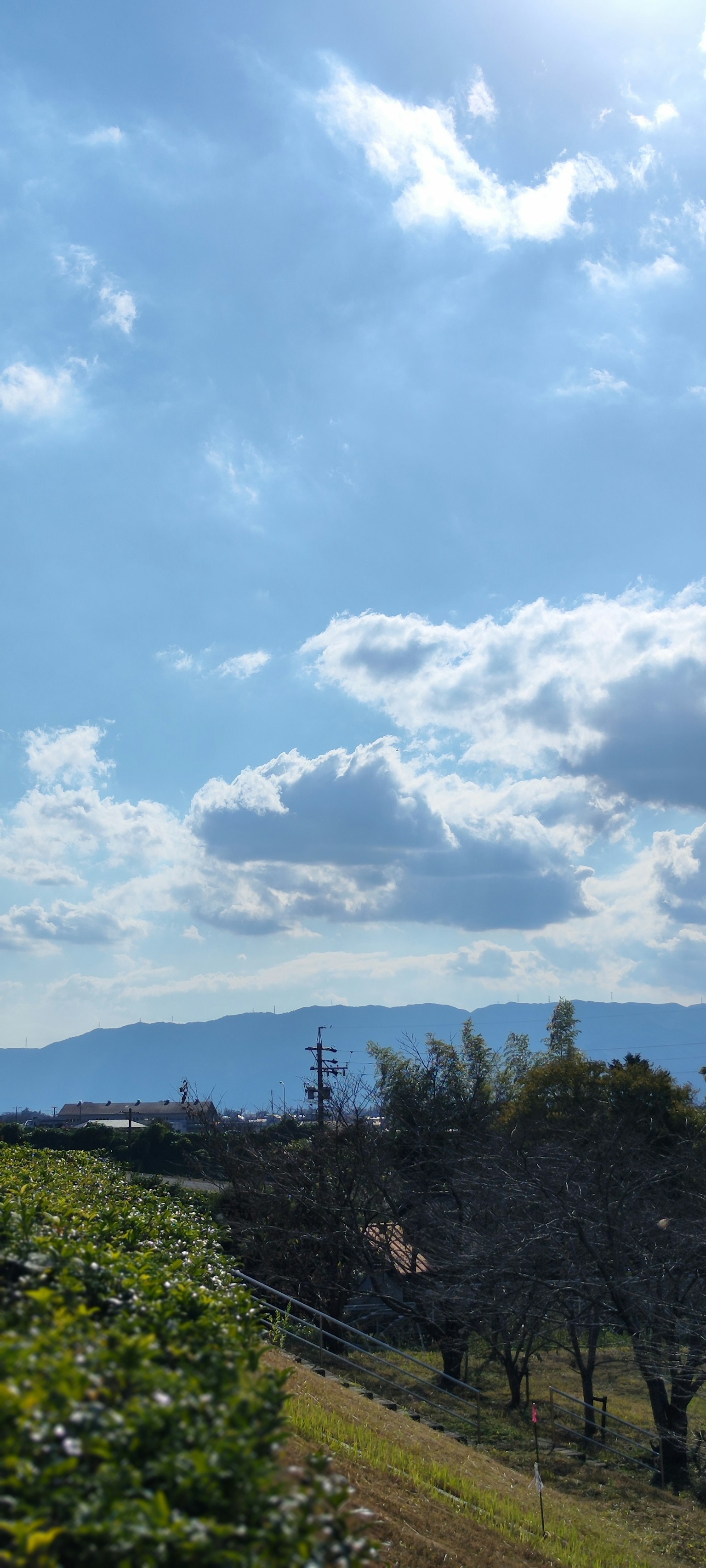 ทิวทัศน์ที่สวยงามท้องฟ้าสีฟ้าและเมฆสีขาวต้นไม้สีเขียวบนเนินเขา