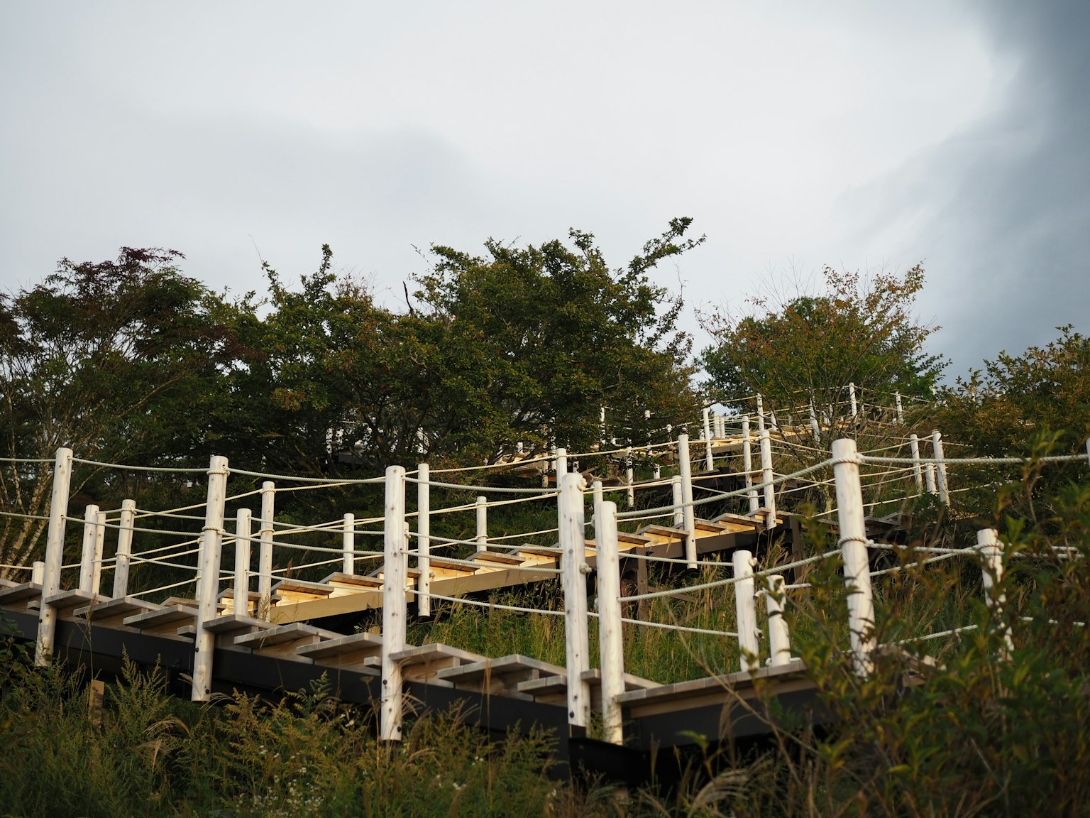 Passerelle en bois entourée de verdure luxuriante et ciel nuageux