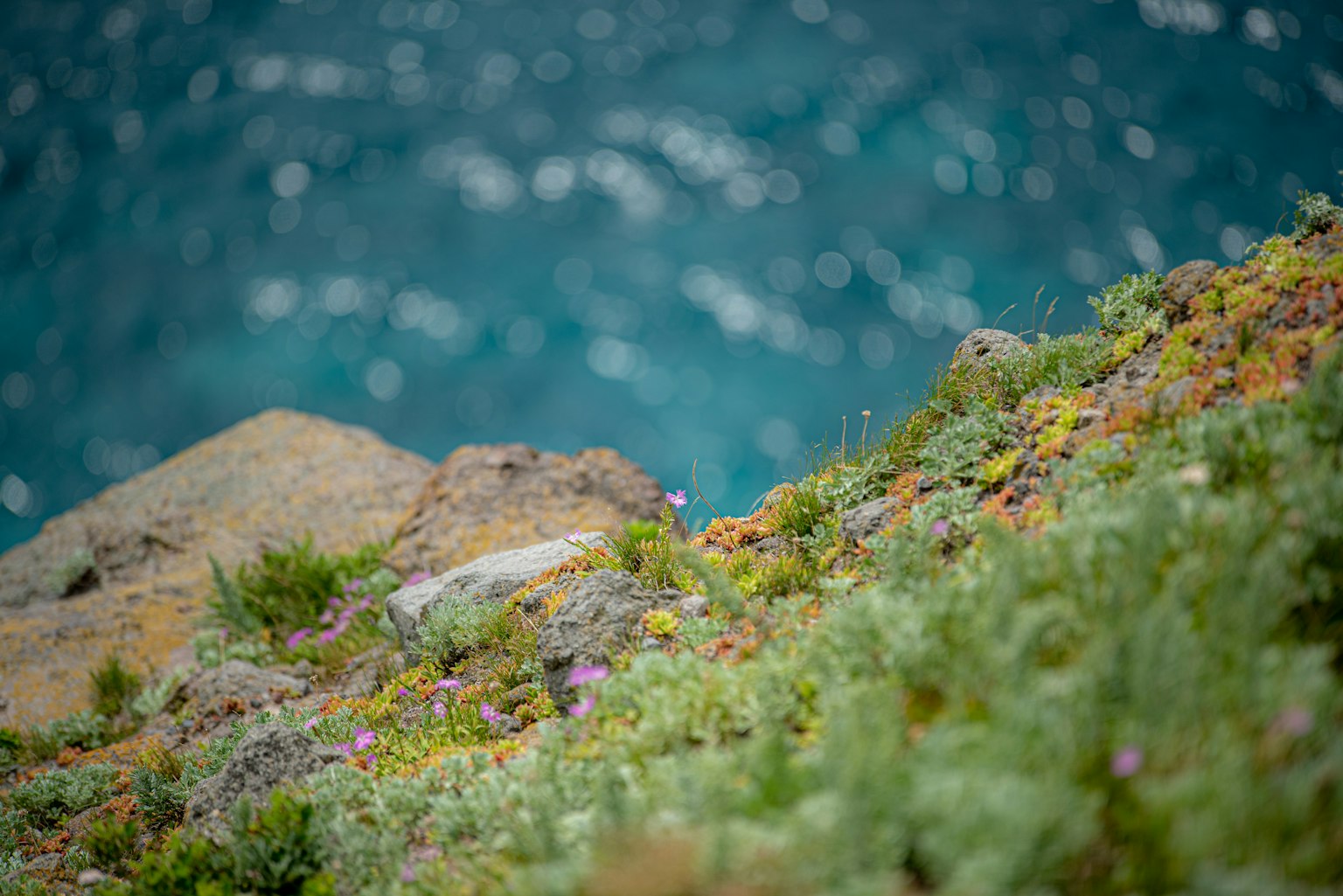 Green grass and rocky slope overlooking a blue sea
