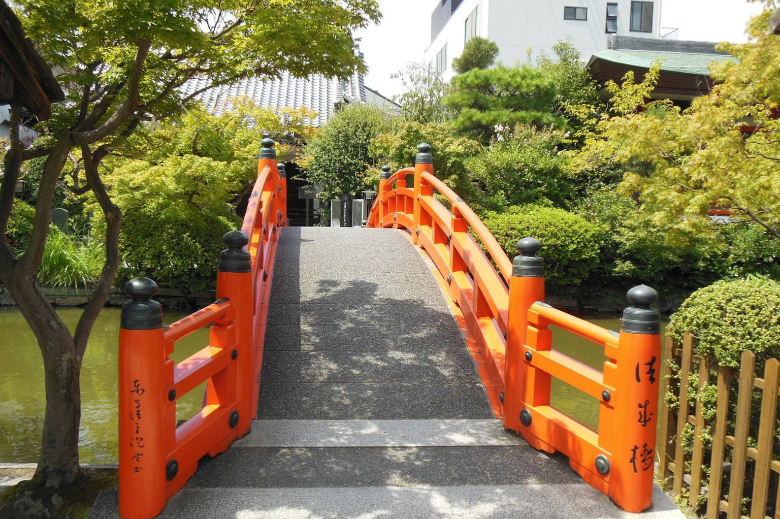 鮮豔的橙色橋橫跨綠色花園