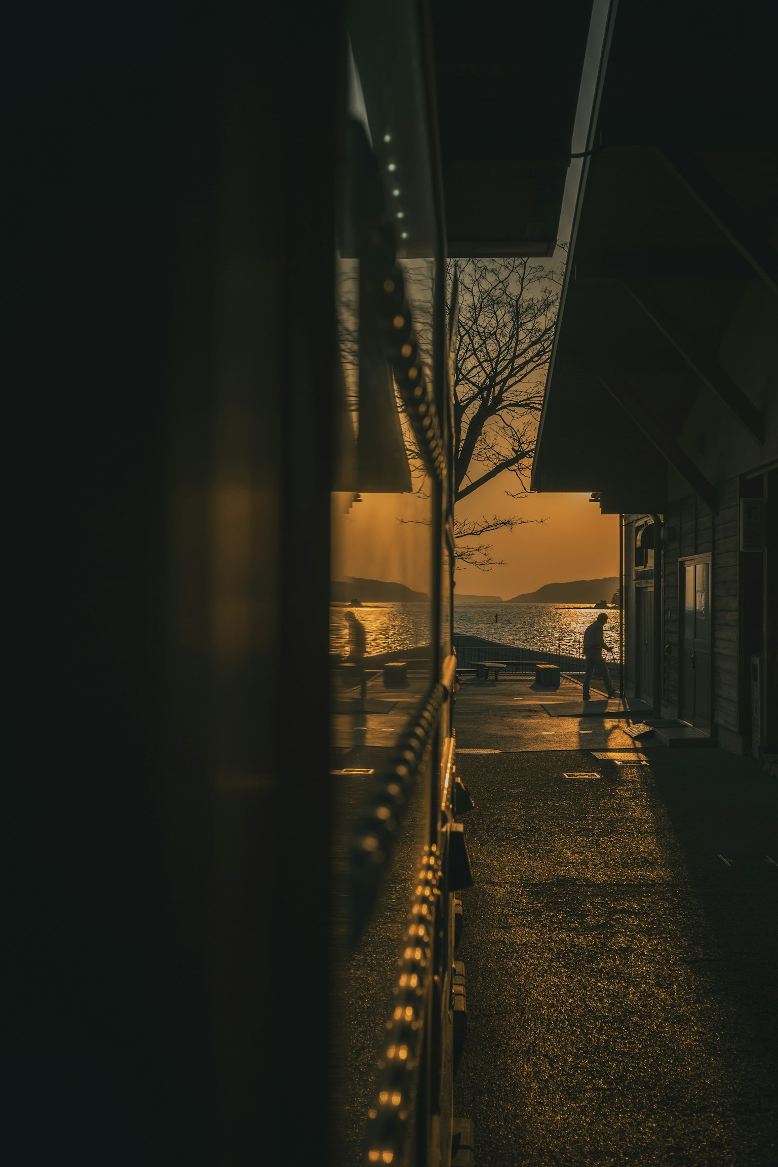 Reflection of a tree and a figure standing on a coastal path at dusk in a building's window
