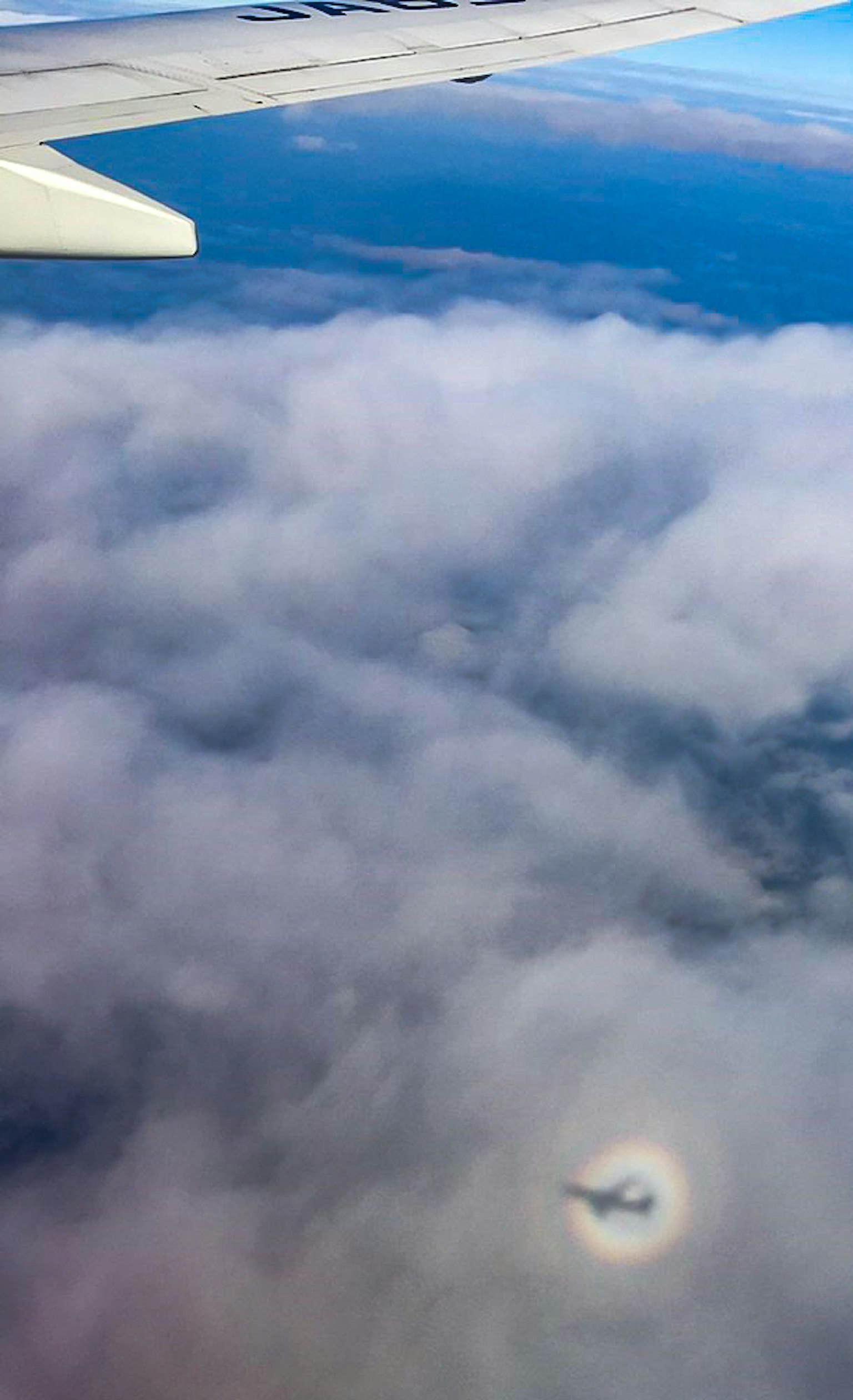 Bild eines Flugzeugflügels über den Wolken mit einem kreisförmigen optischen Phänomen