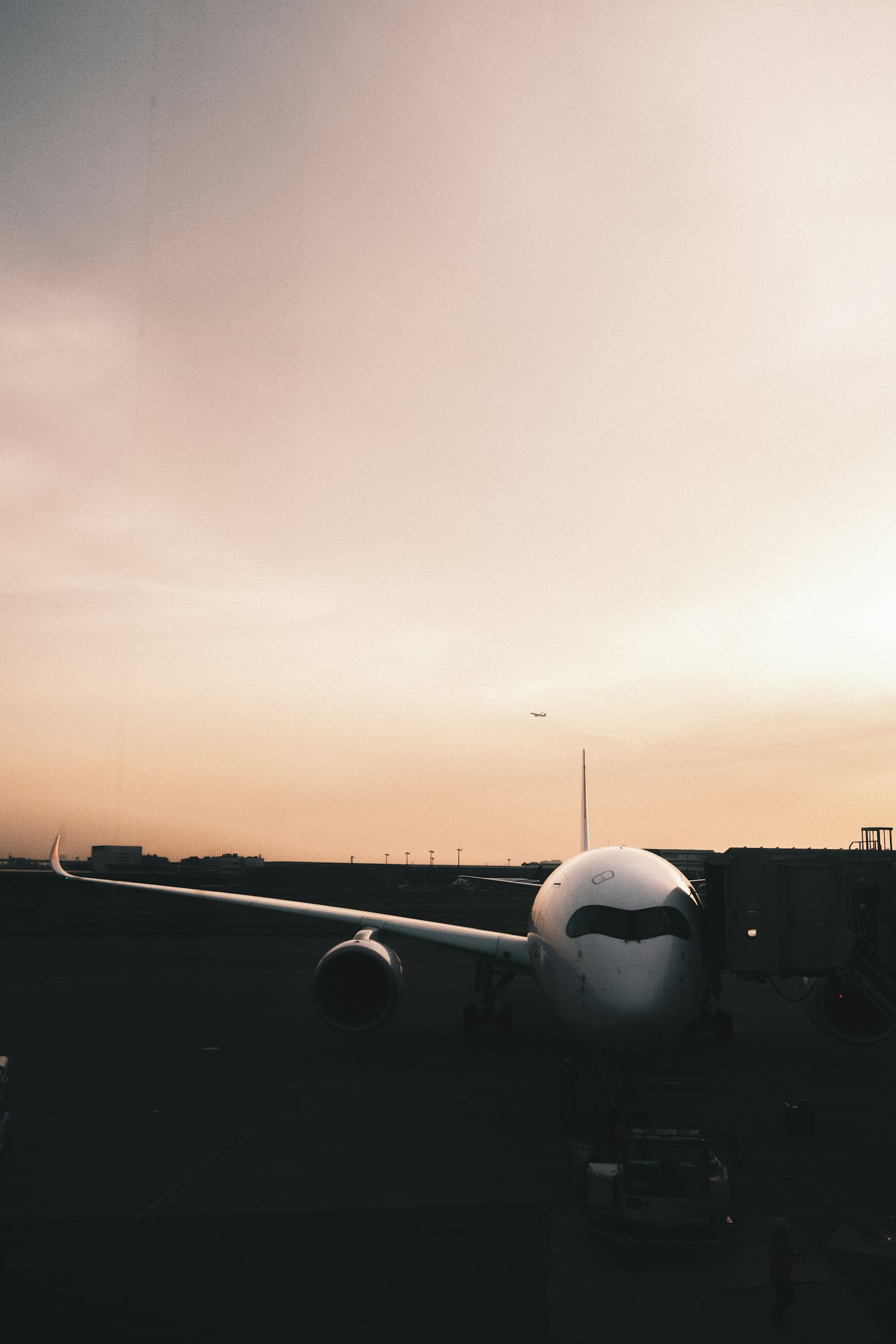 Airplane on the runway with a sunset sky