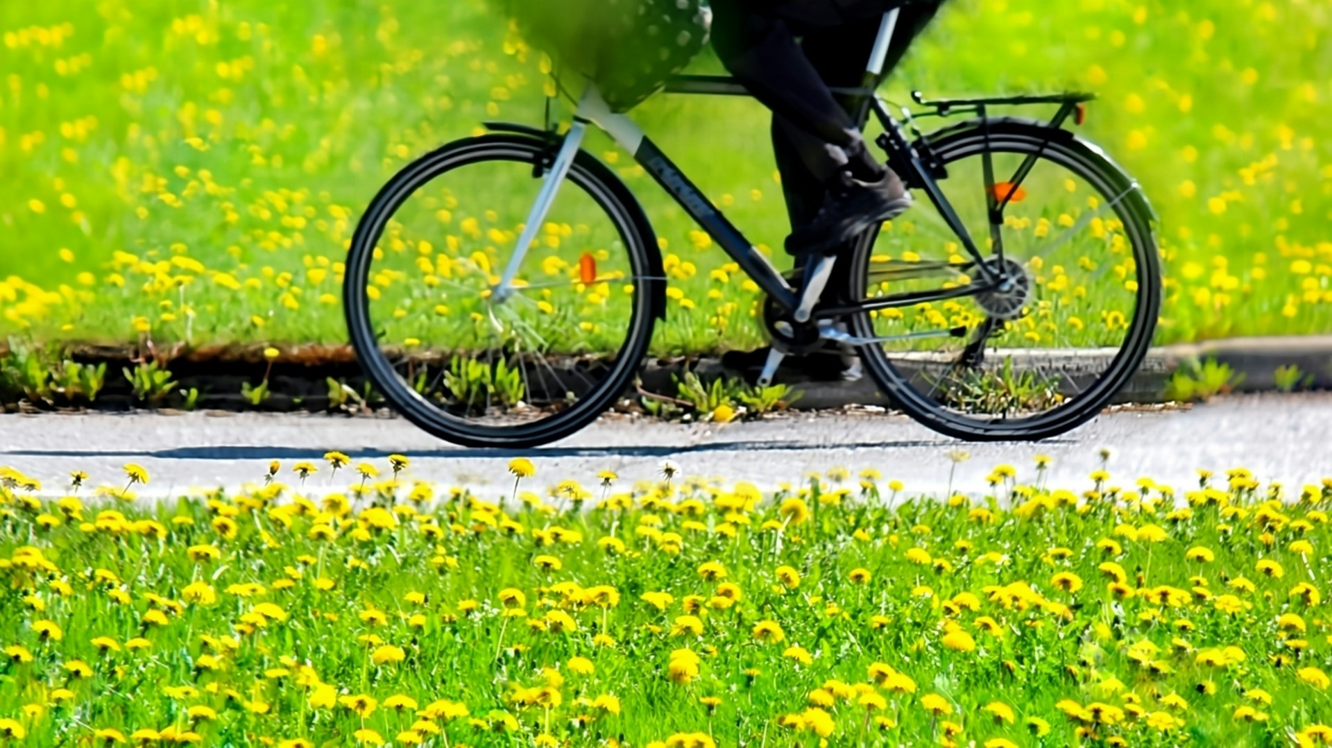 タンポポ畑を駆け抜ける自転車通学の自転車