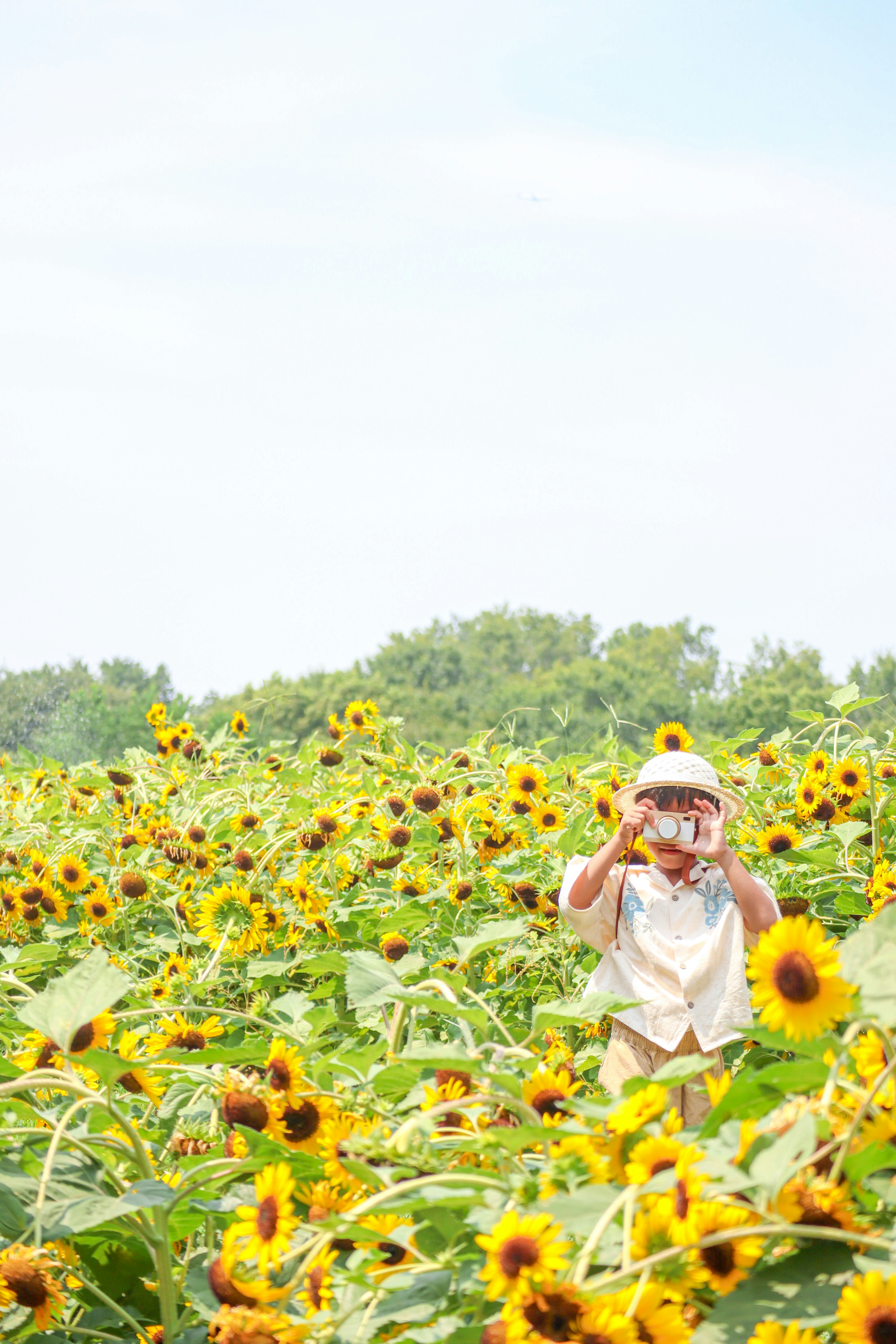 花博記念公園鶴見緑地のひまわり畑で帽子をかぶる親子