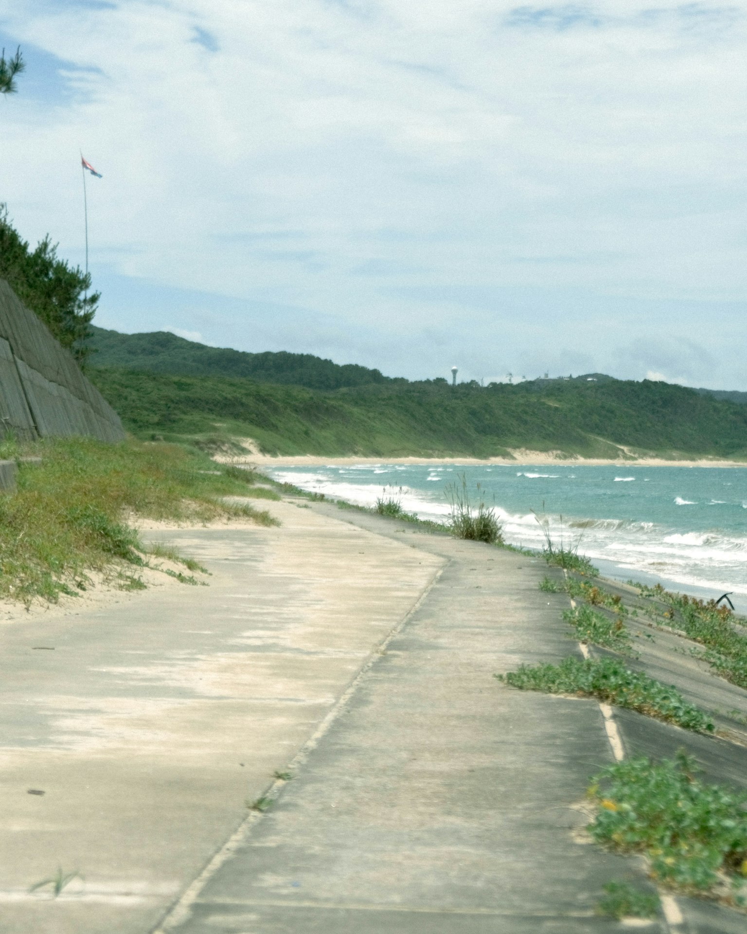 Camino de concreto costero con olas y vegetación