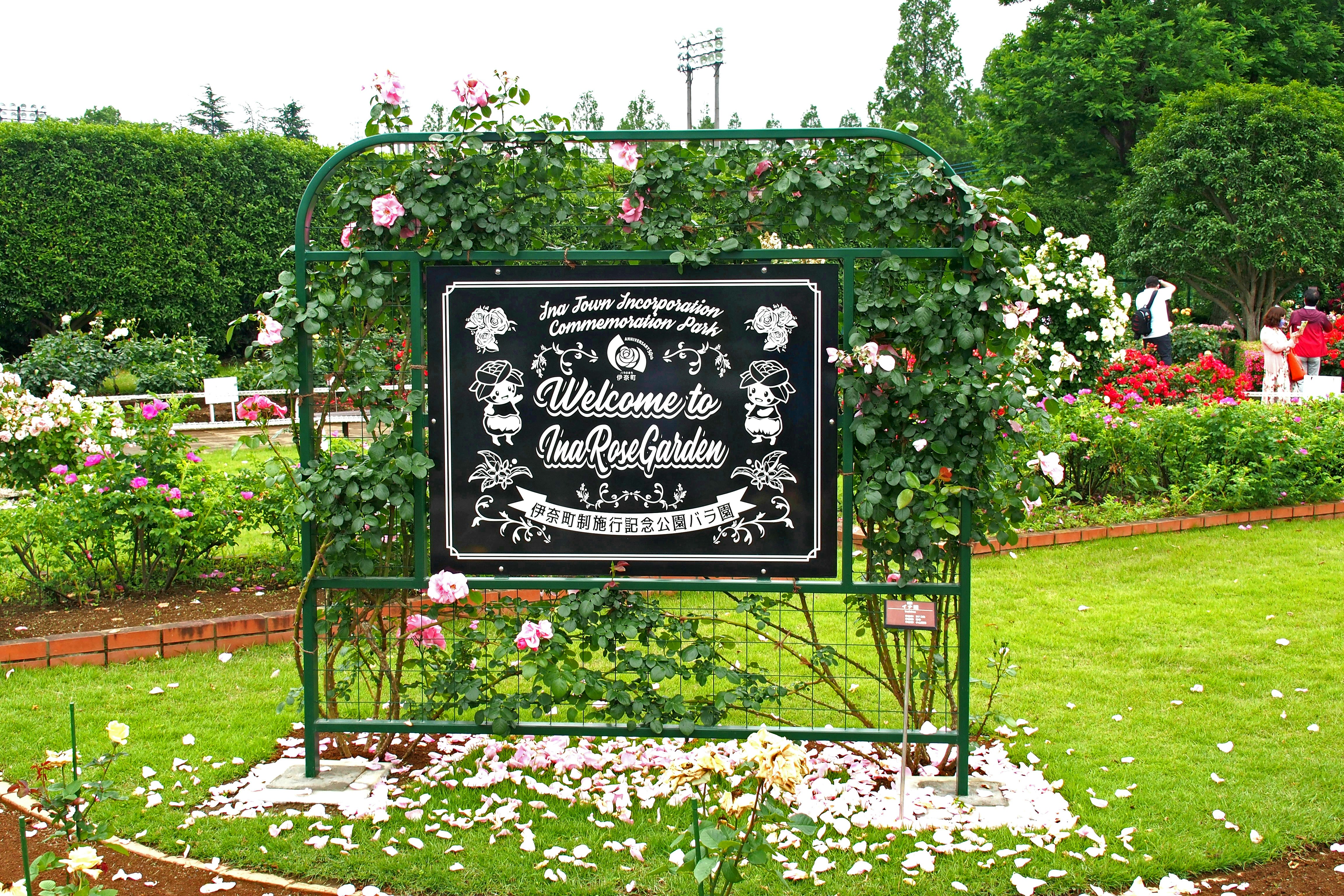 Papan “Welcome to the Rose Garden” di taman penuh bunga