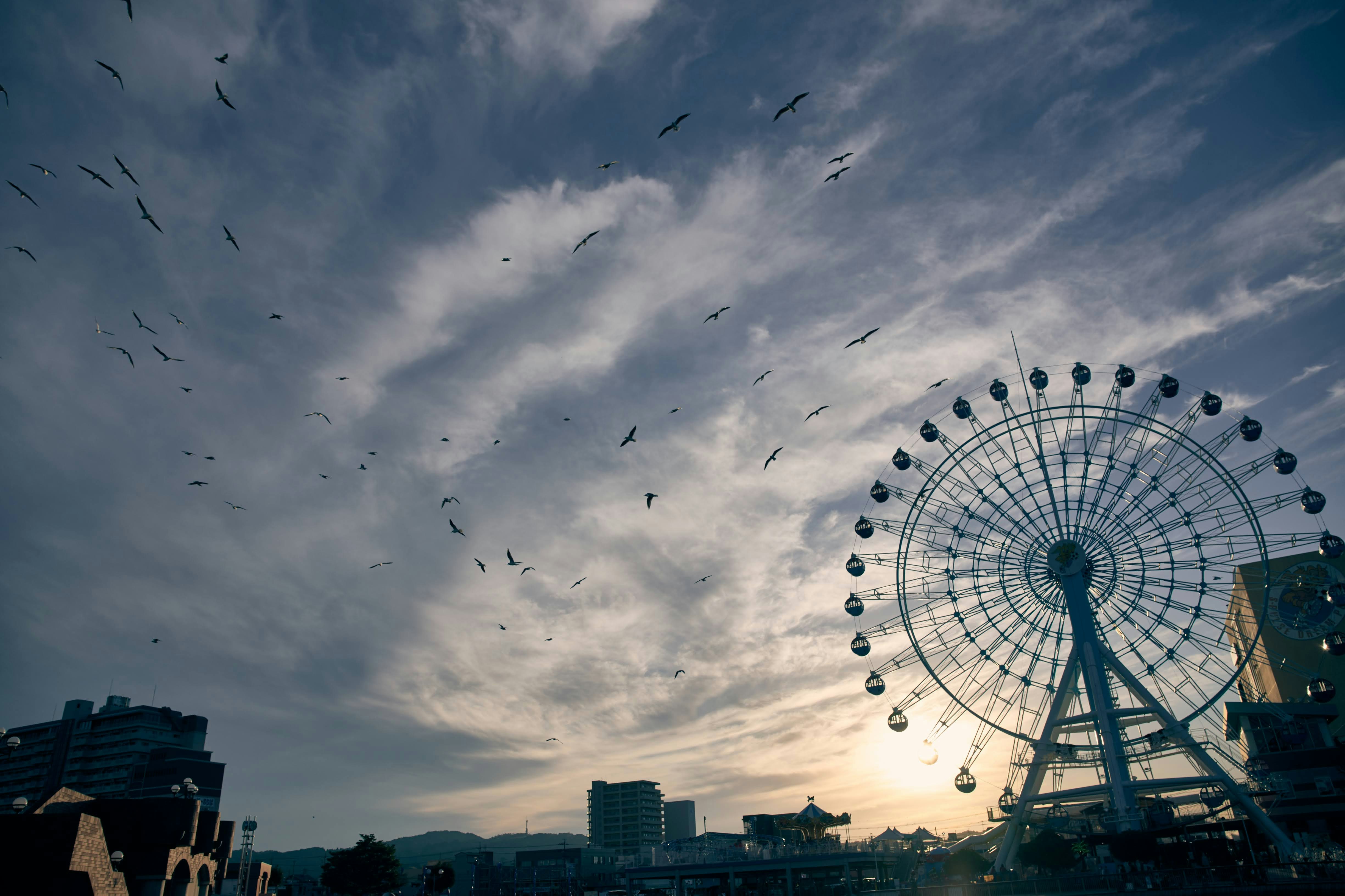 観覧車と空に舞う鳥のある夕暮れの遊園地