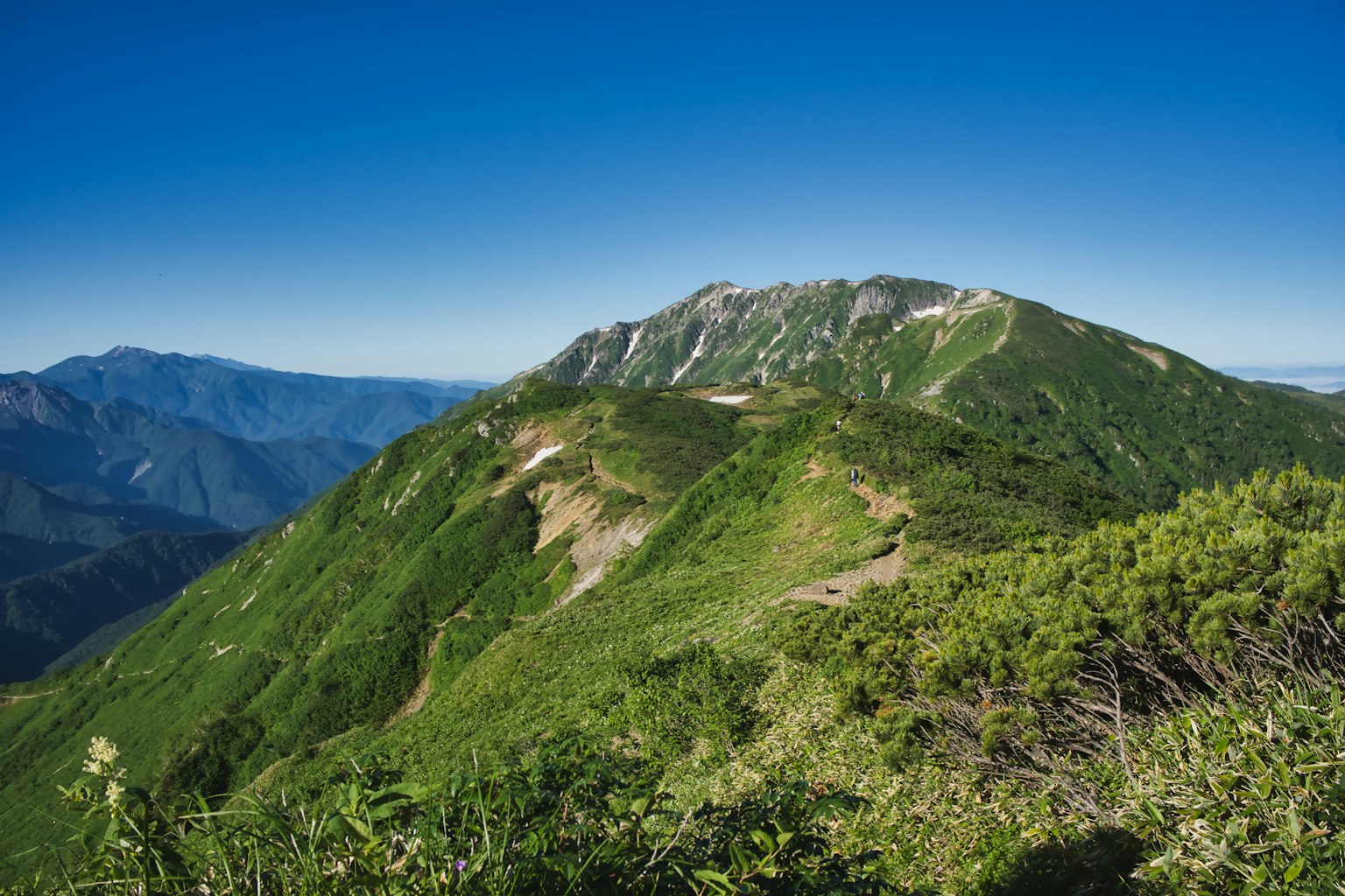 郁郁葱葱的山脉景观在晴朗的蓝天下