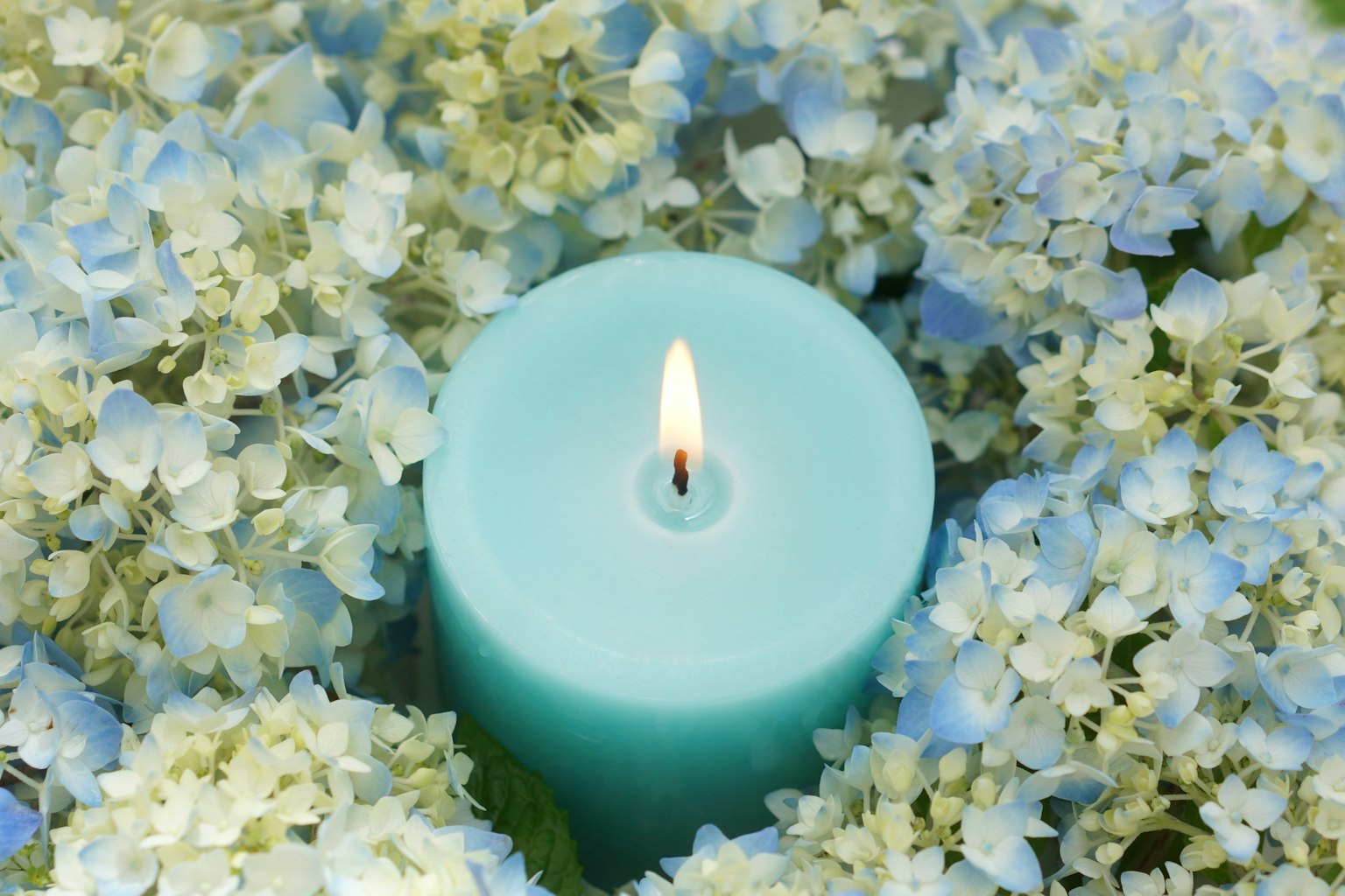 A blue candle surrounded by white flowers
