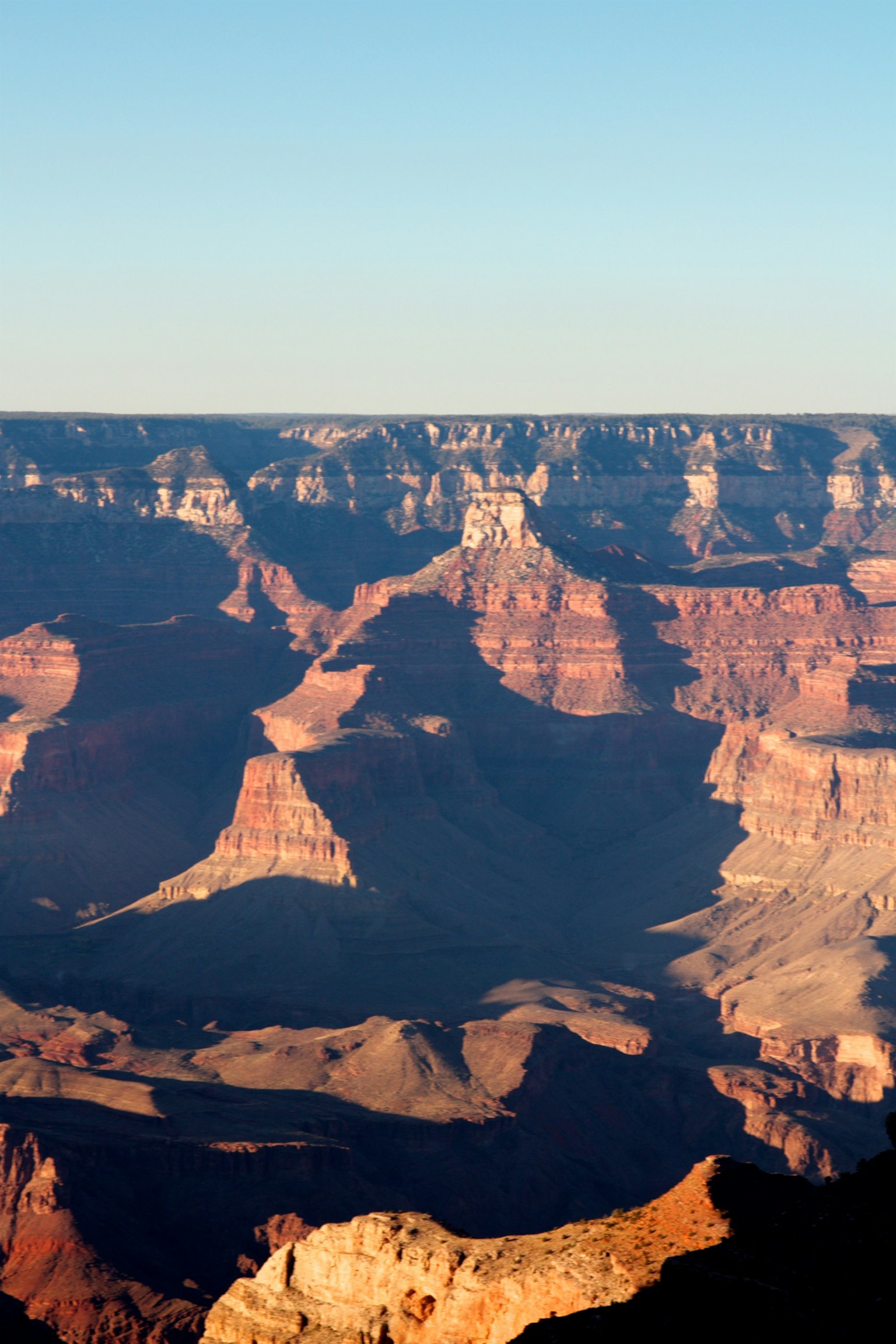 Vue impressionnante du Grand Canyon avec des roches rouges vibrantes et des ombres profondes