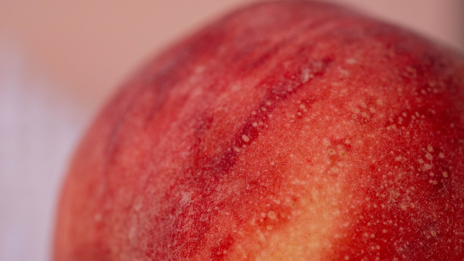 鲜艳红色桃子的特写图像 光滑光亮的表面可见质感