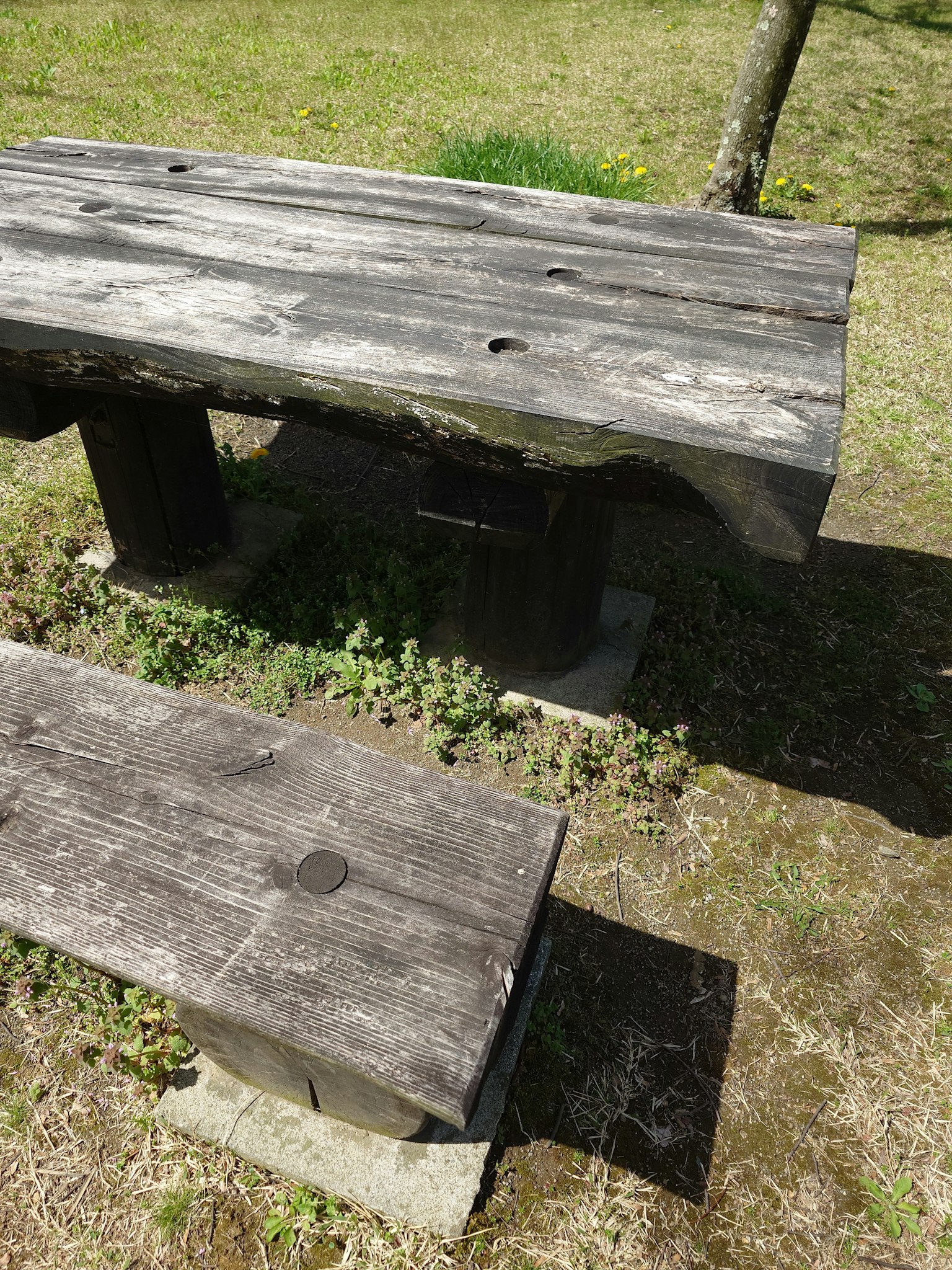 Tavolo e panchina in legno in un parco