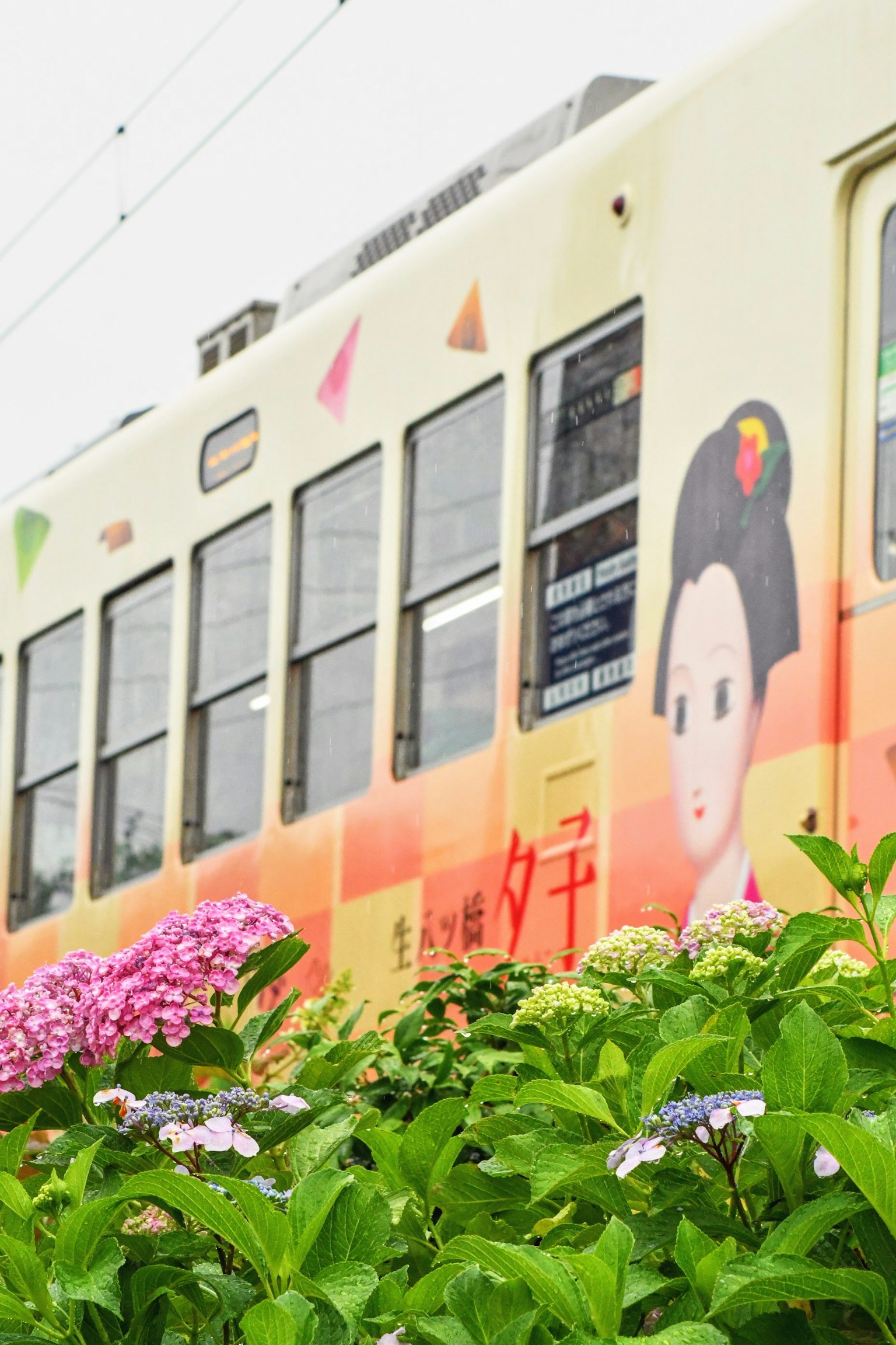 Trolley berwarna-warni dengan ilustrasi wanita dan elemen dekoratif di samping