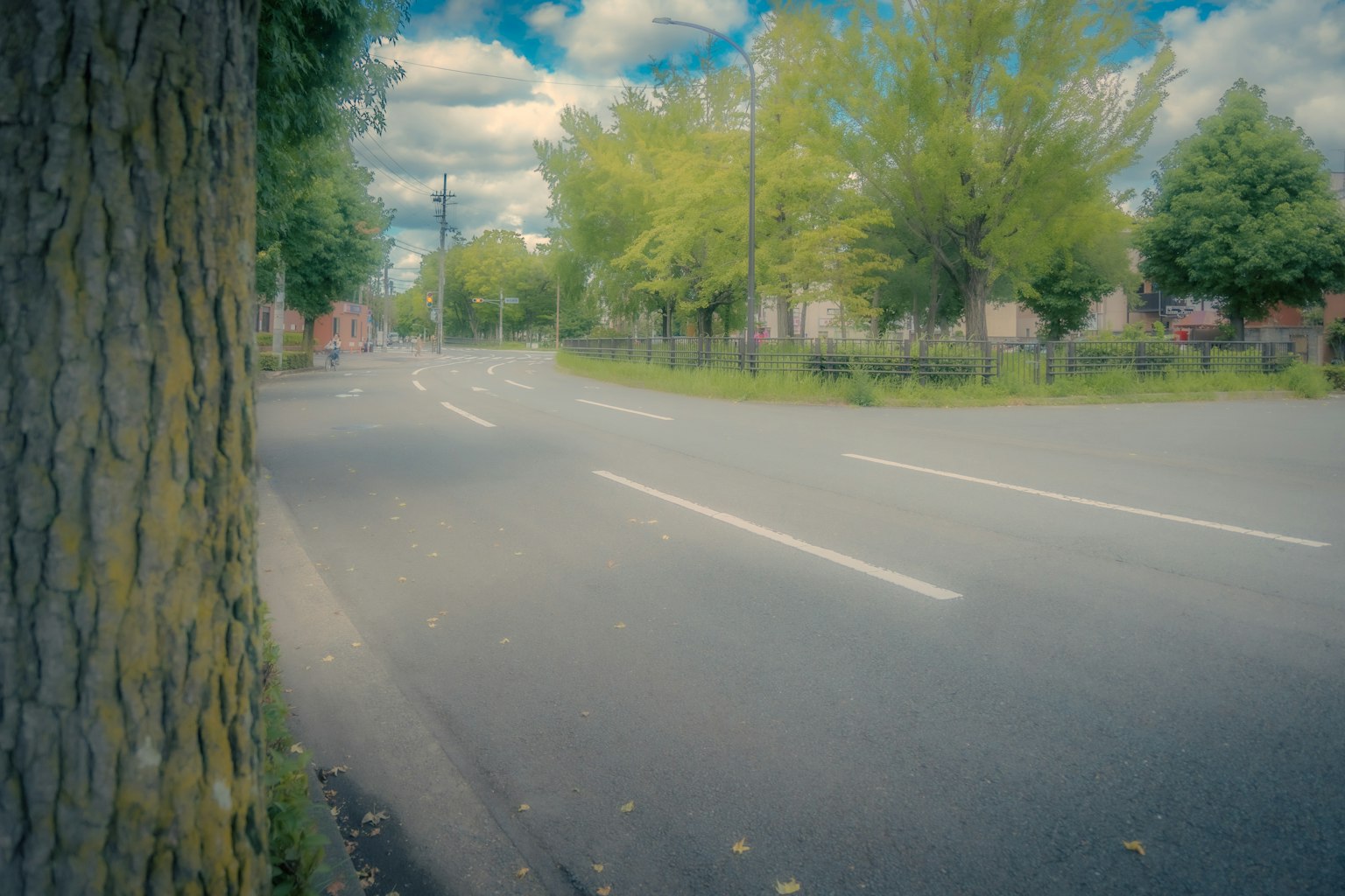 Una escena de calle serena rodeada de árboles verdes