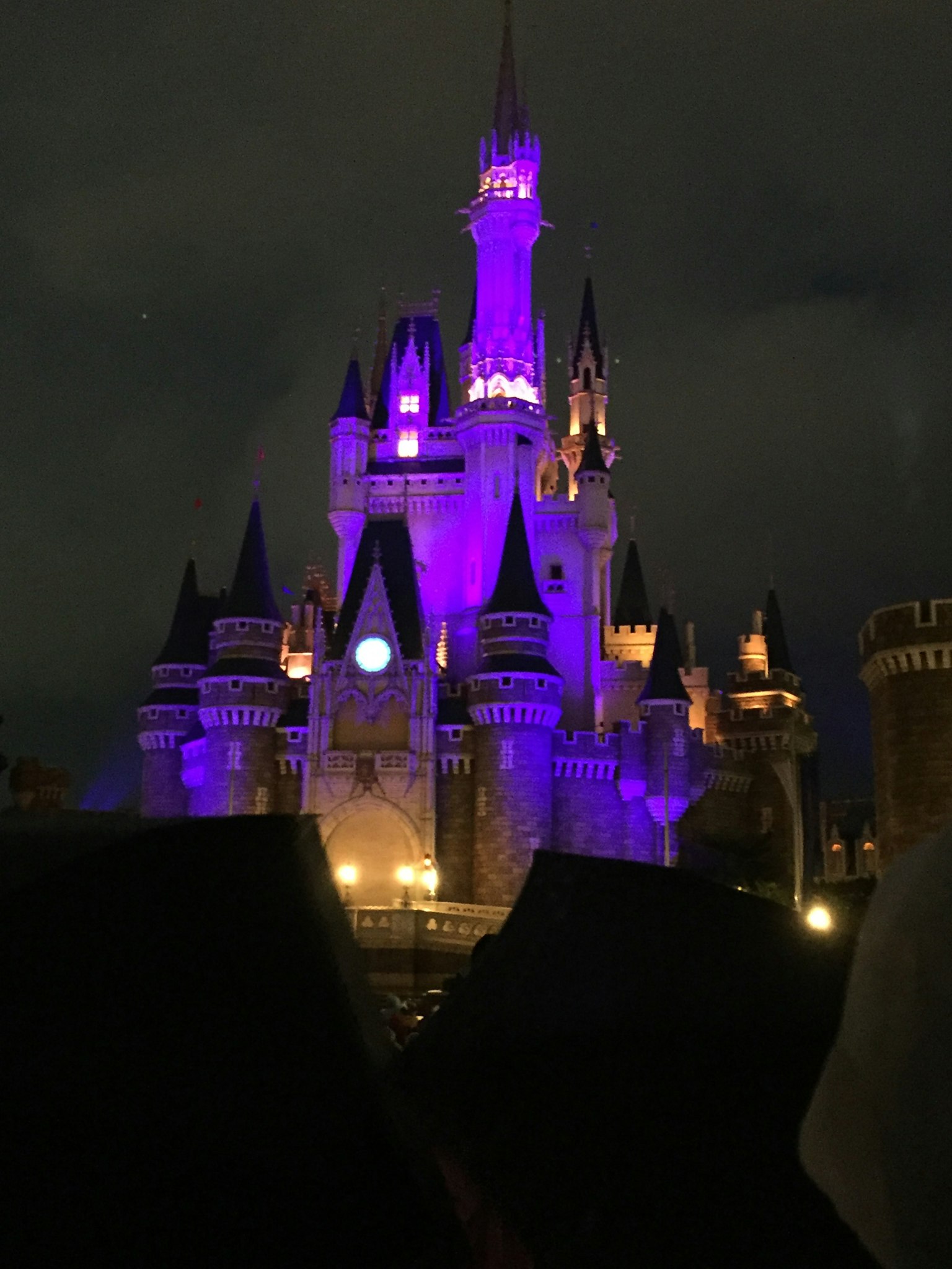Hermoso castillo iluminado con luces moradas de noche