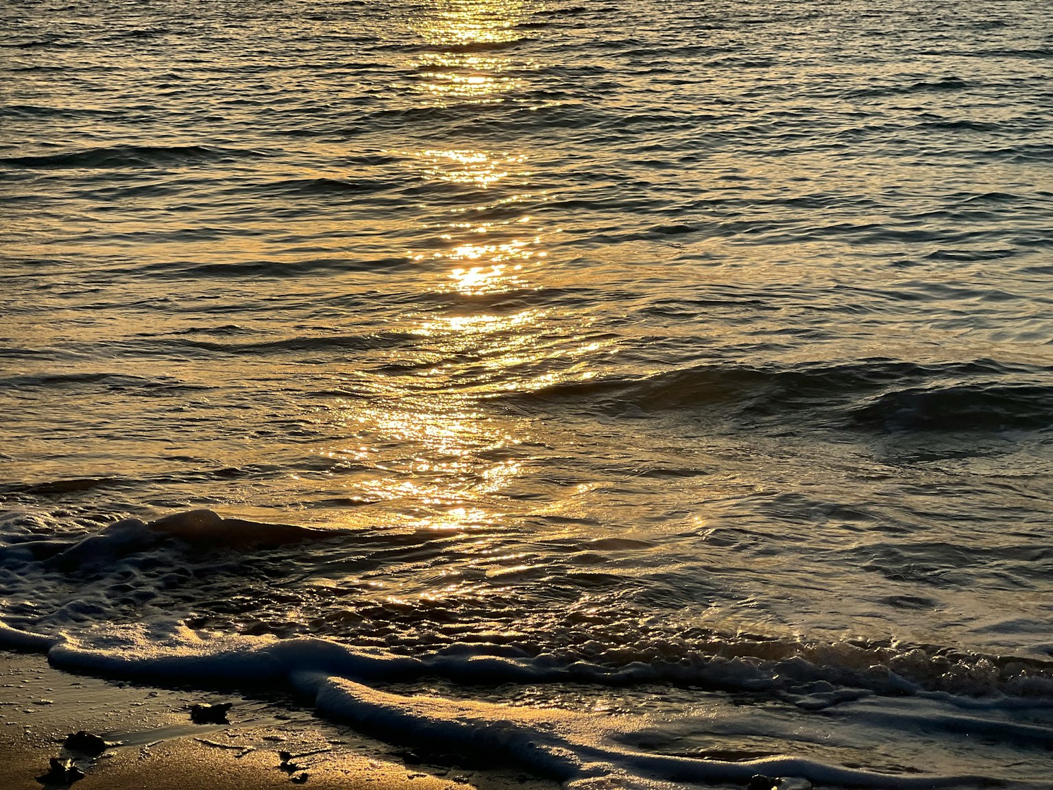 Onde leggere su una spiaggia che riflettono il tramonto