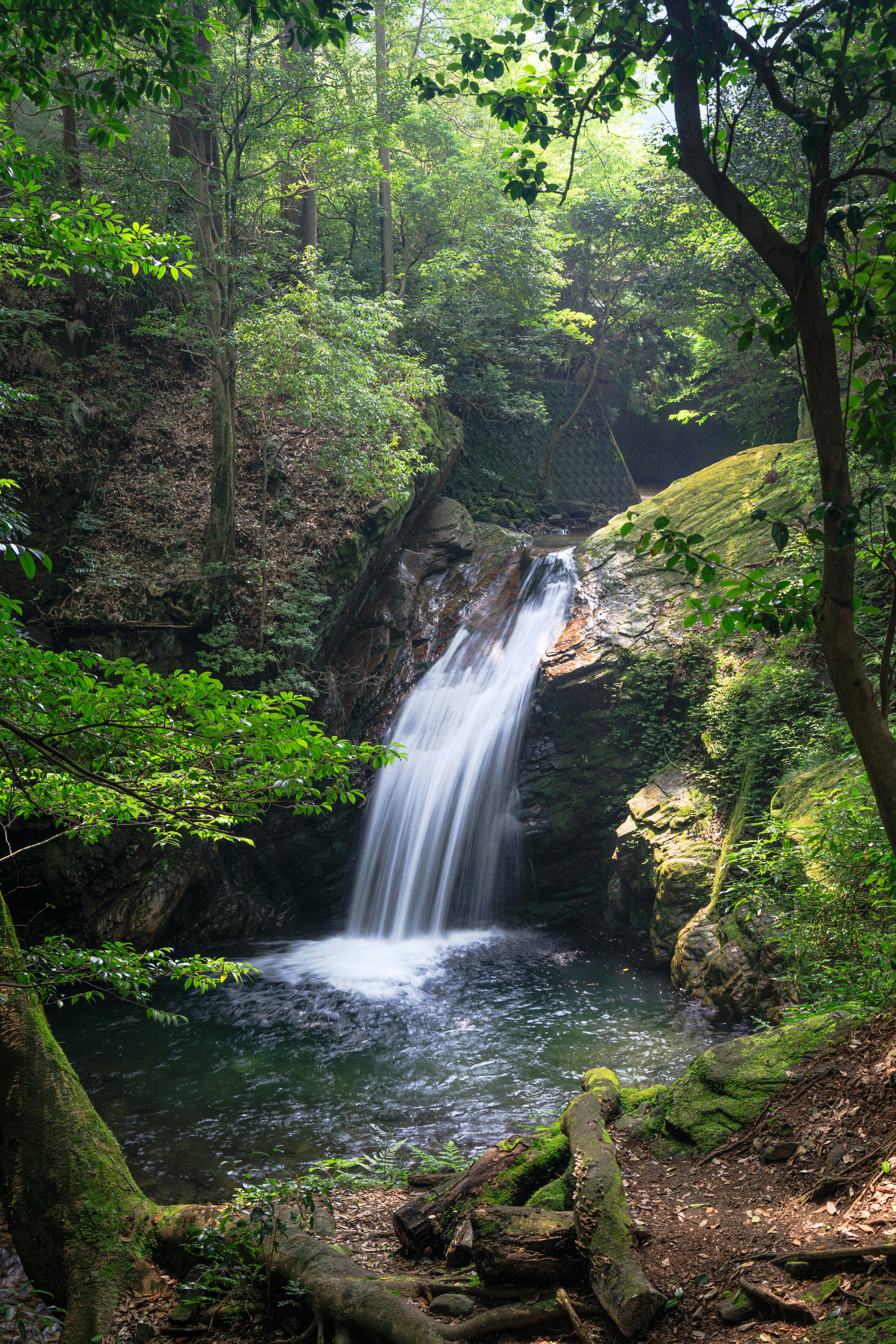 緑の森の中で流れる小さな滝の風景