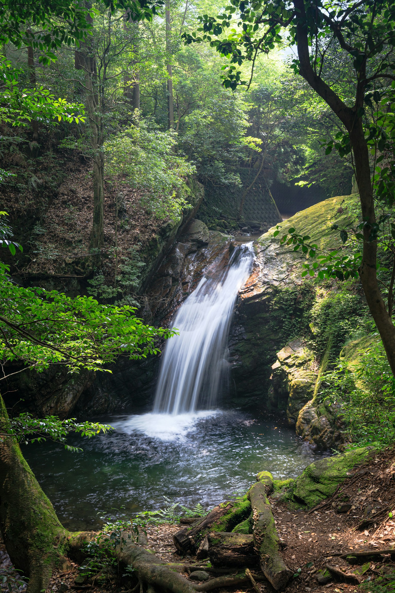 photo-KLC2modBM9CVwW7LUYMY-image