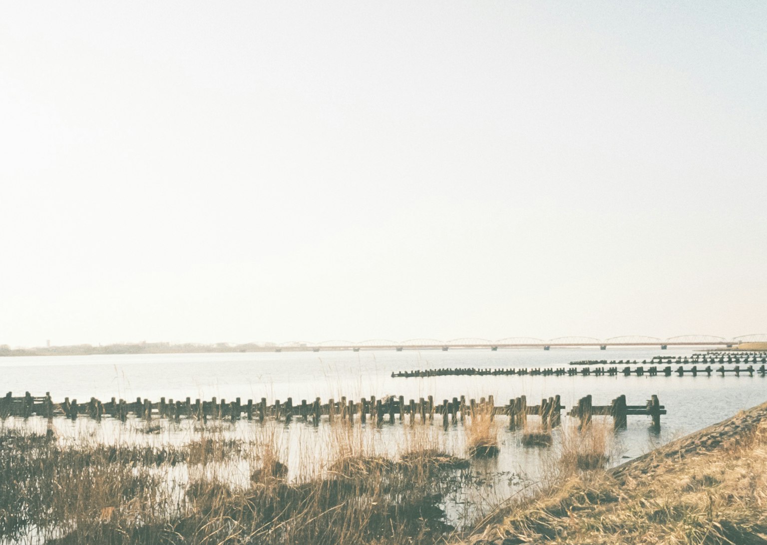 Ruhige Landschaft mit stillem Wasser und Booten, die zwischen Schilfrohren schwimmen