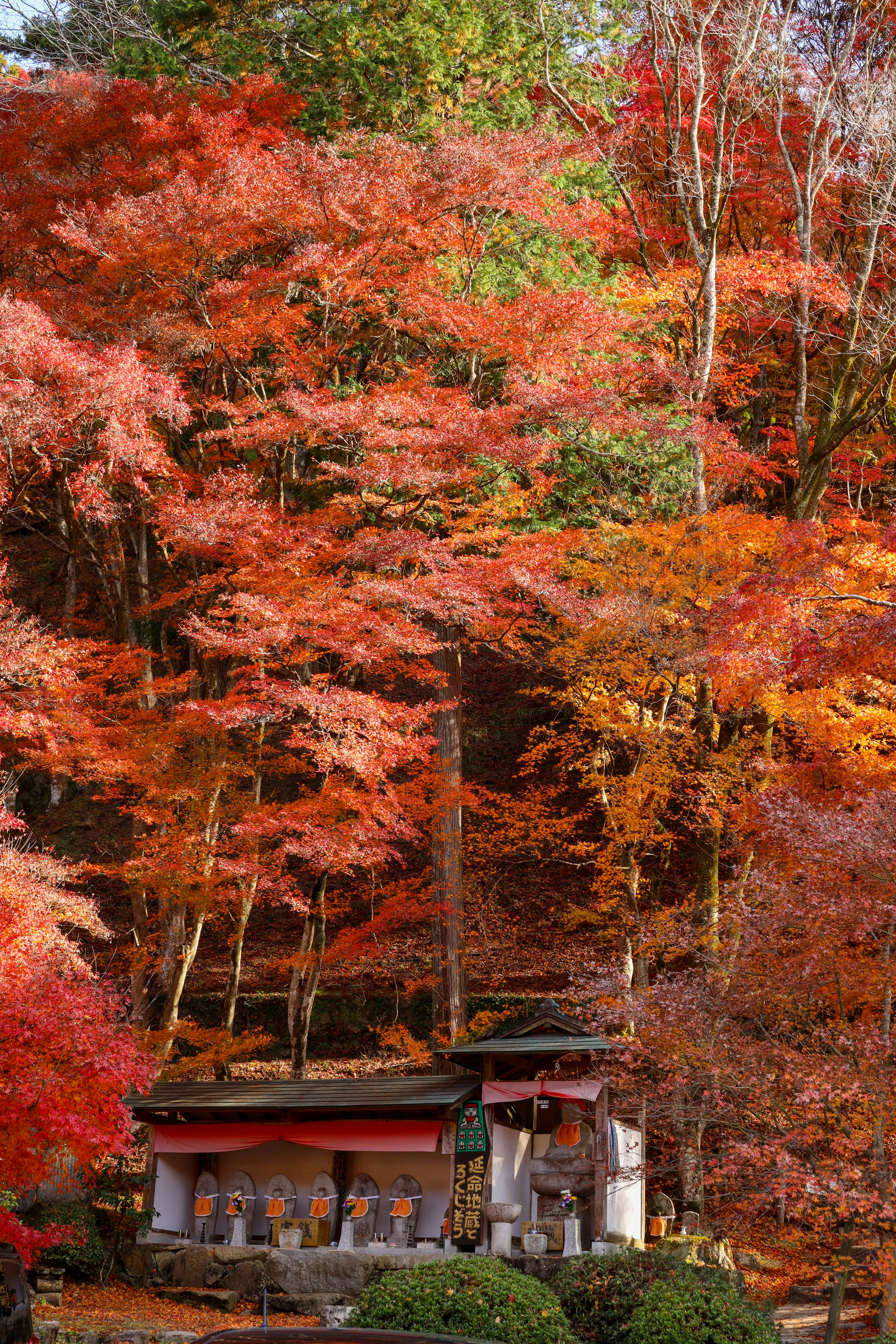 Scenic view of a small shrine surrounded by autumn foliage