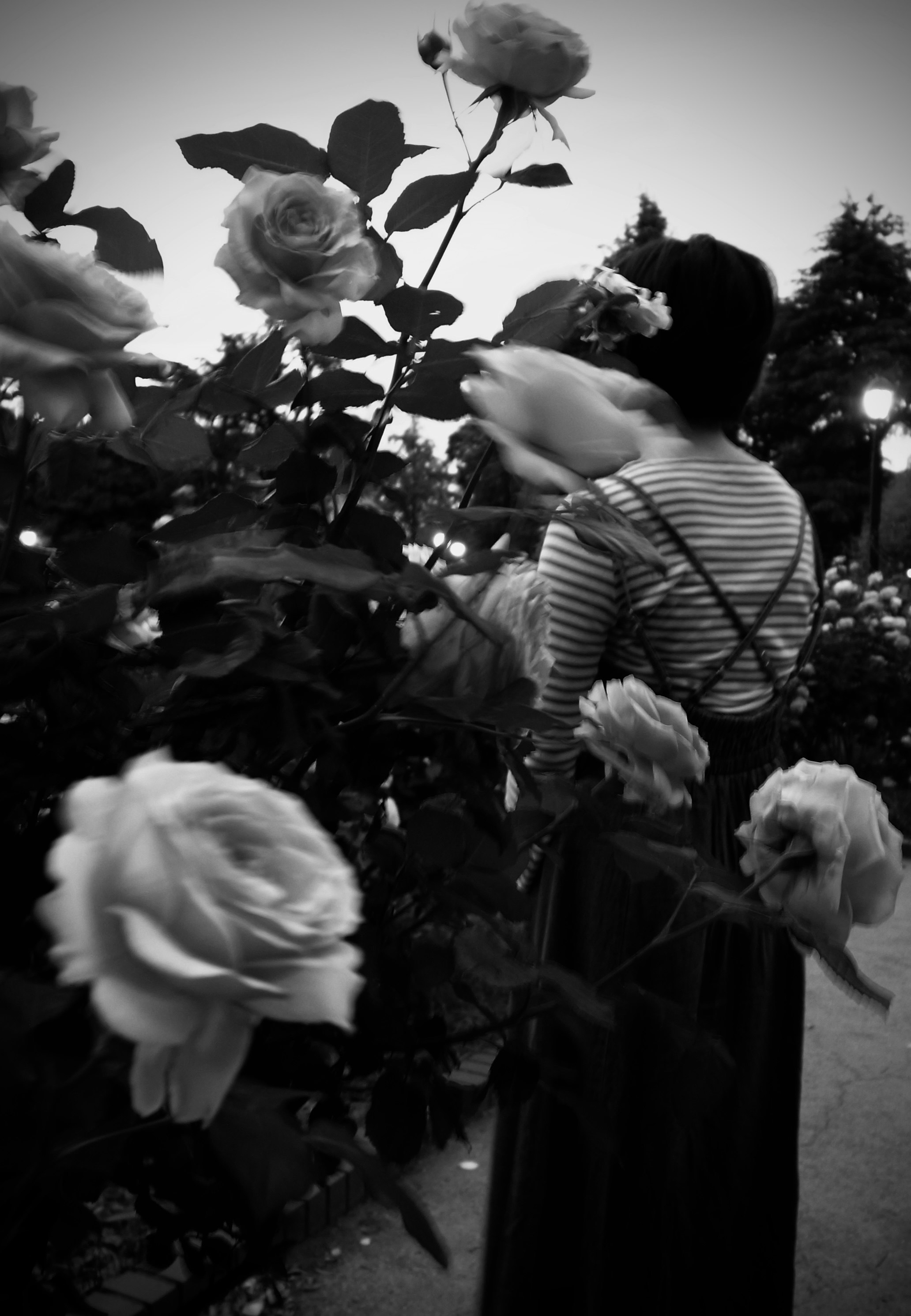 profile of a person in striped clothing holding flowers