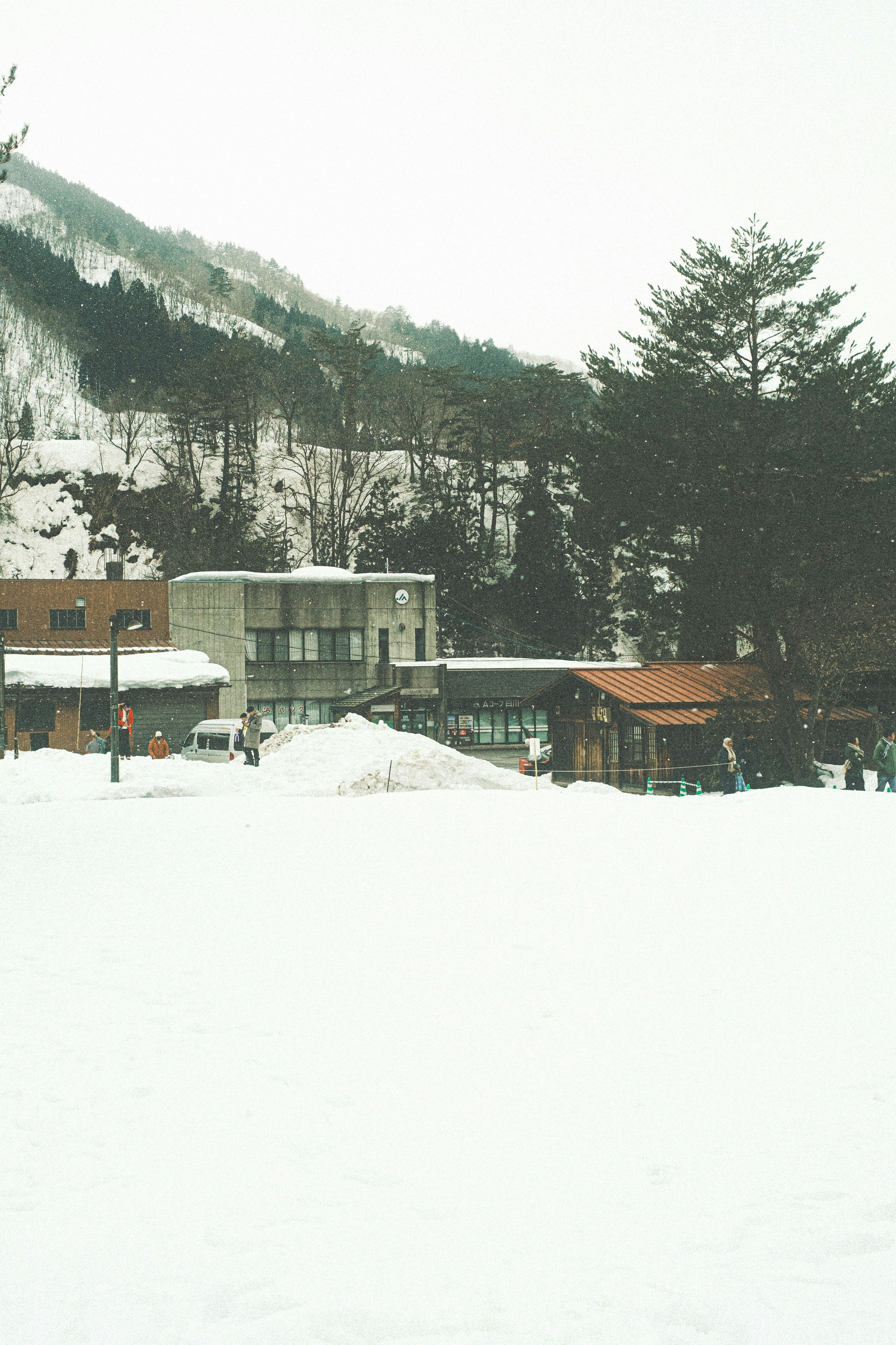 雪に覆われた山あいの建物と木々の景色