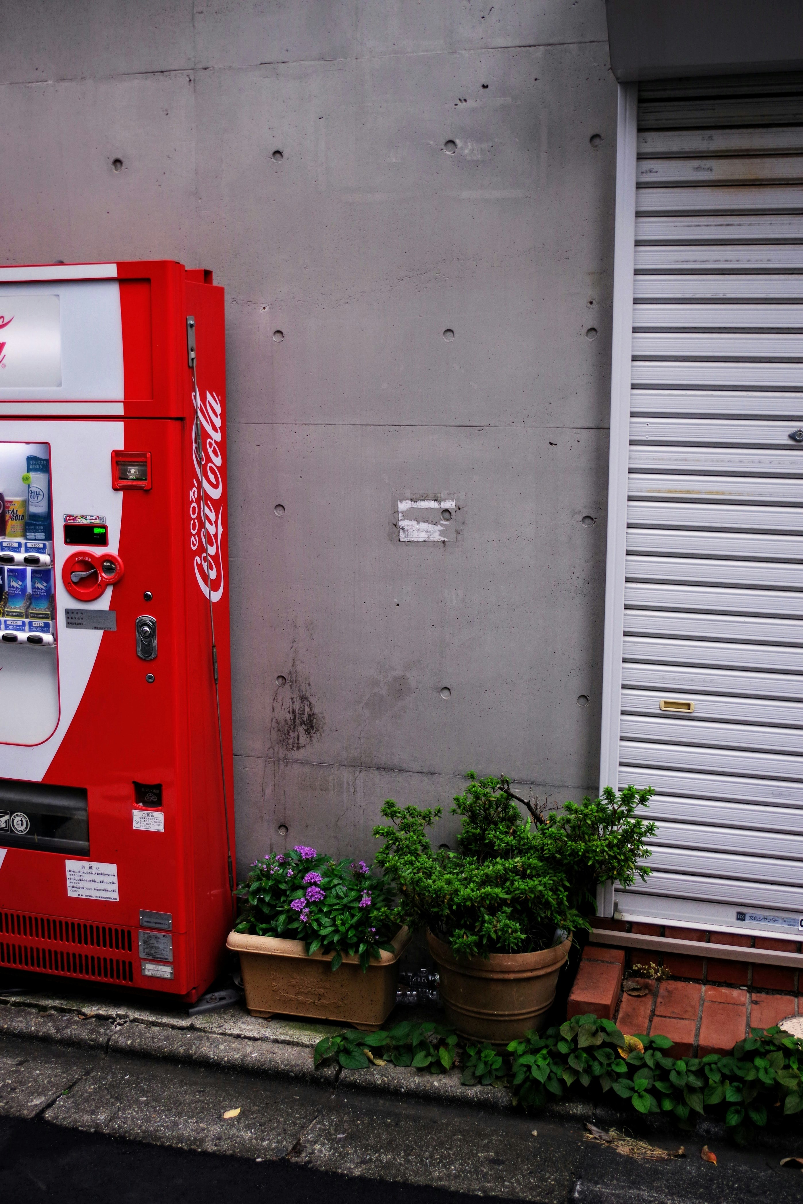 Distributeur automatique rouge près de plantes en pots contre un mur