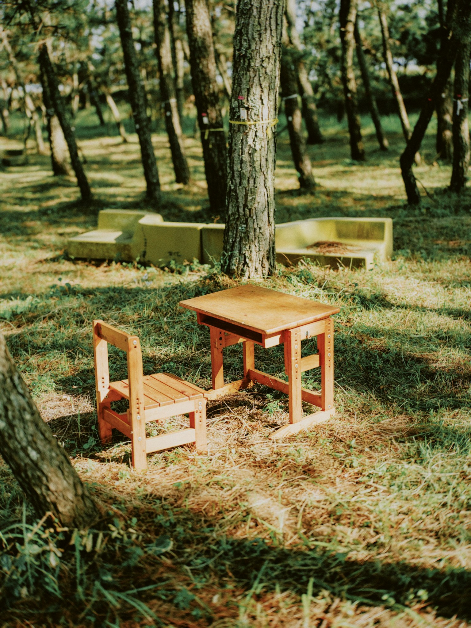 Mesa y silla de madera colocadas en un entorno forestal