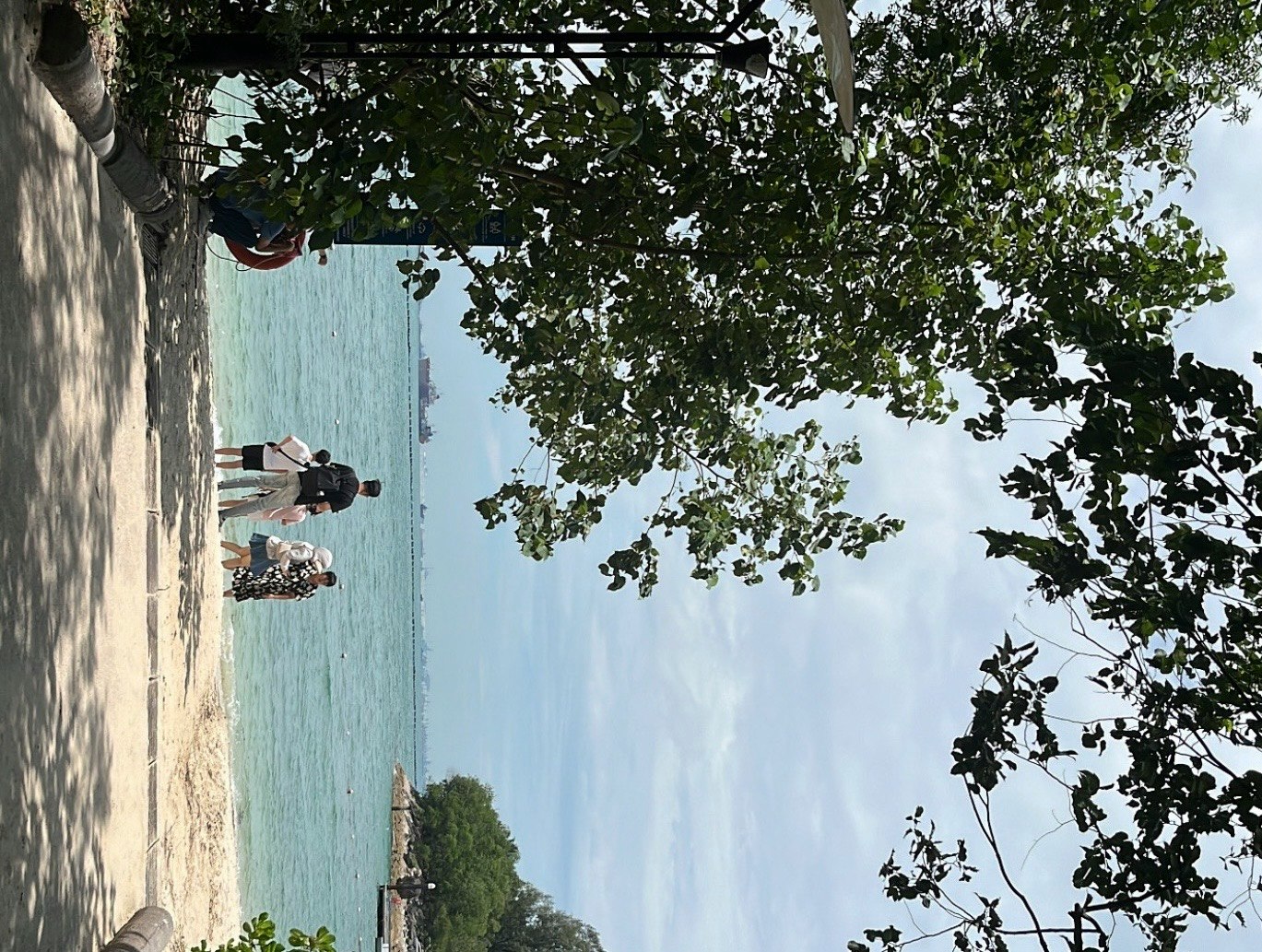 木々の葉越しに見える青空と海のような水面