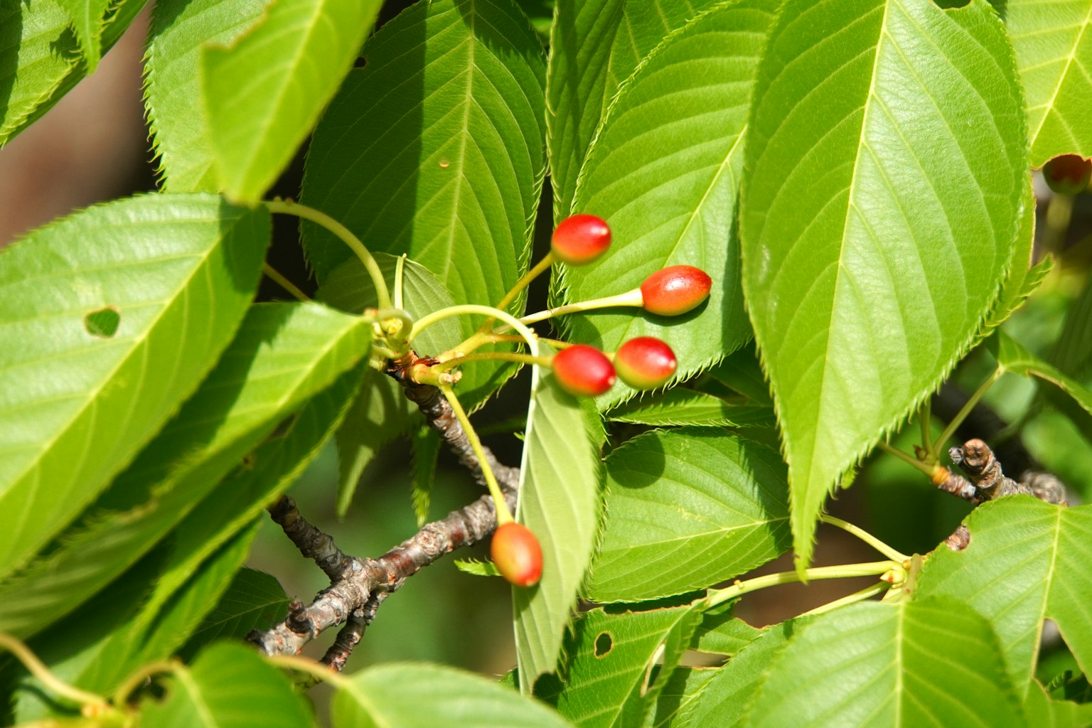 photo-KORQI1SVQ7jXTO31nwcF-image