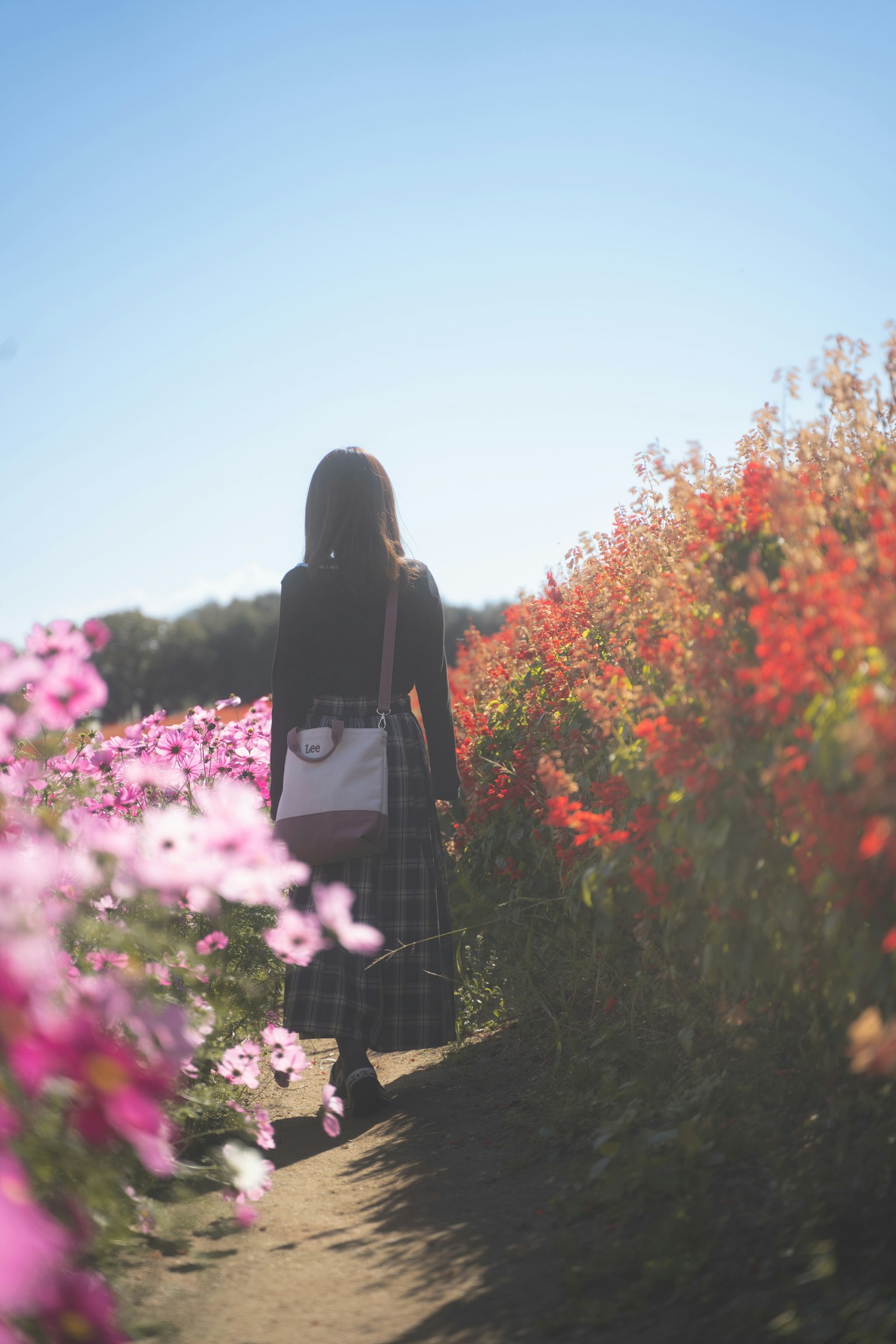 Woman walking along a path surrounded by colorful flowers