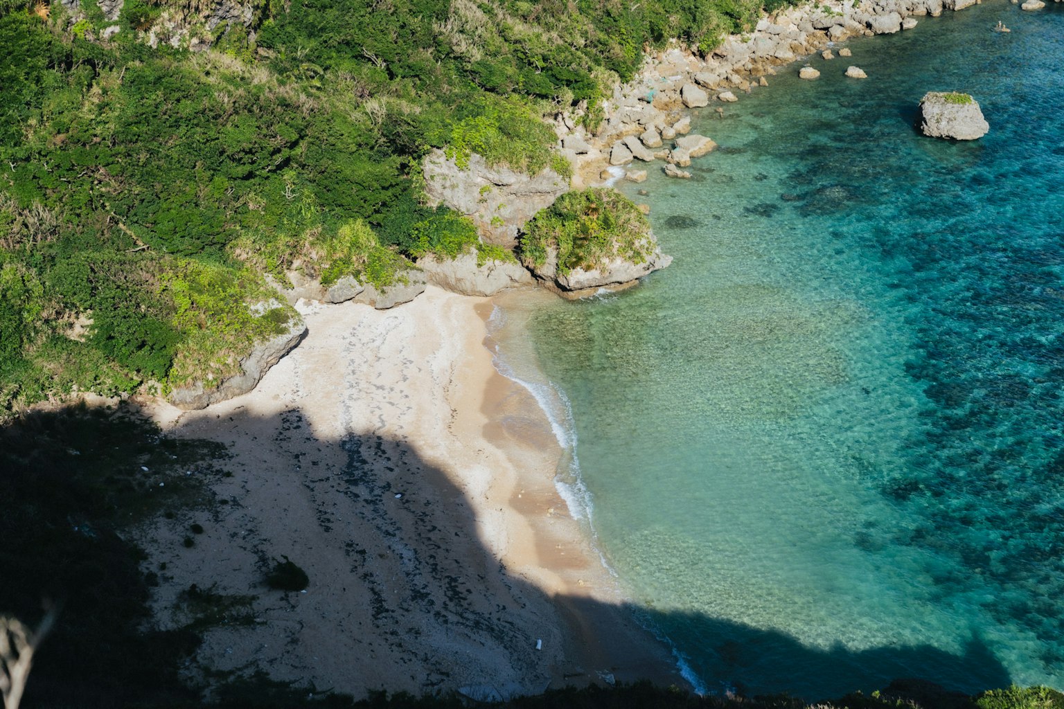 Vue panoramique d'une plage avec de l'eau turquoise claire entourée de végétation verte