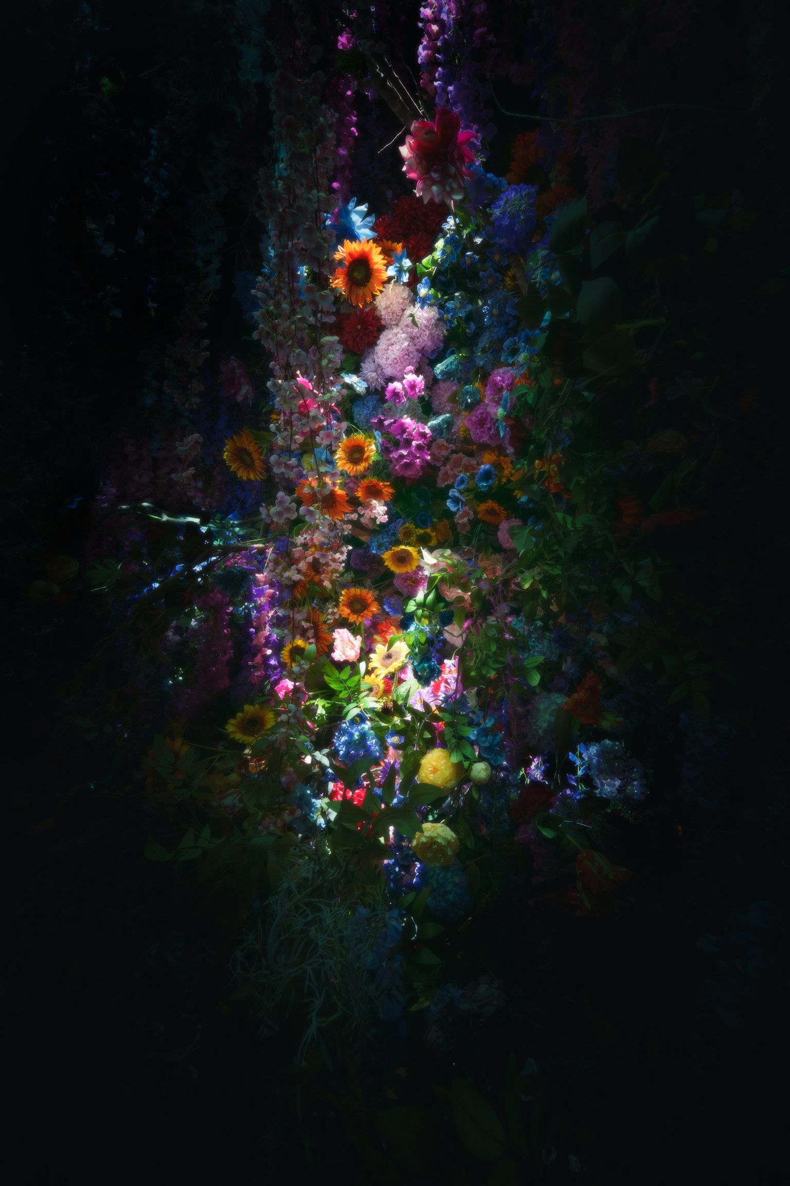 Bellissima arte con fiori colorati su sfondo scuro