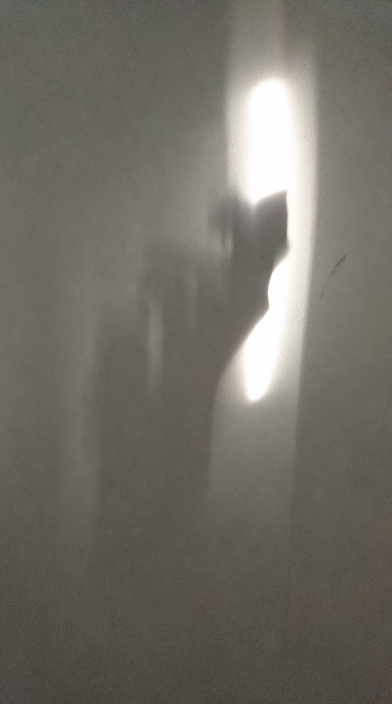Silueta de una mano proyectada sobre una pared por la luz