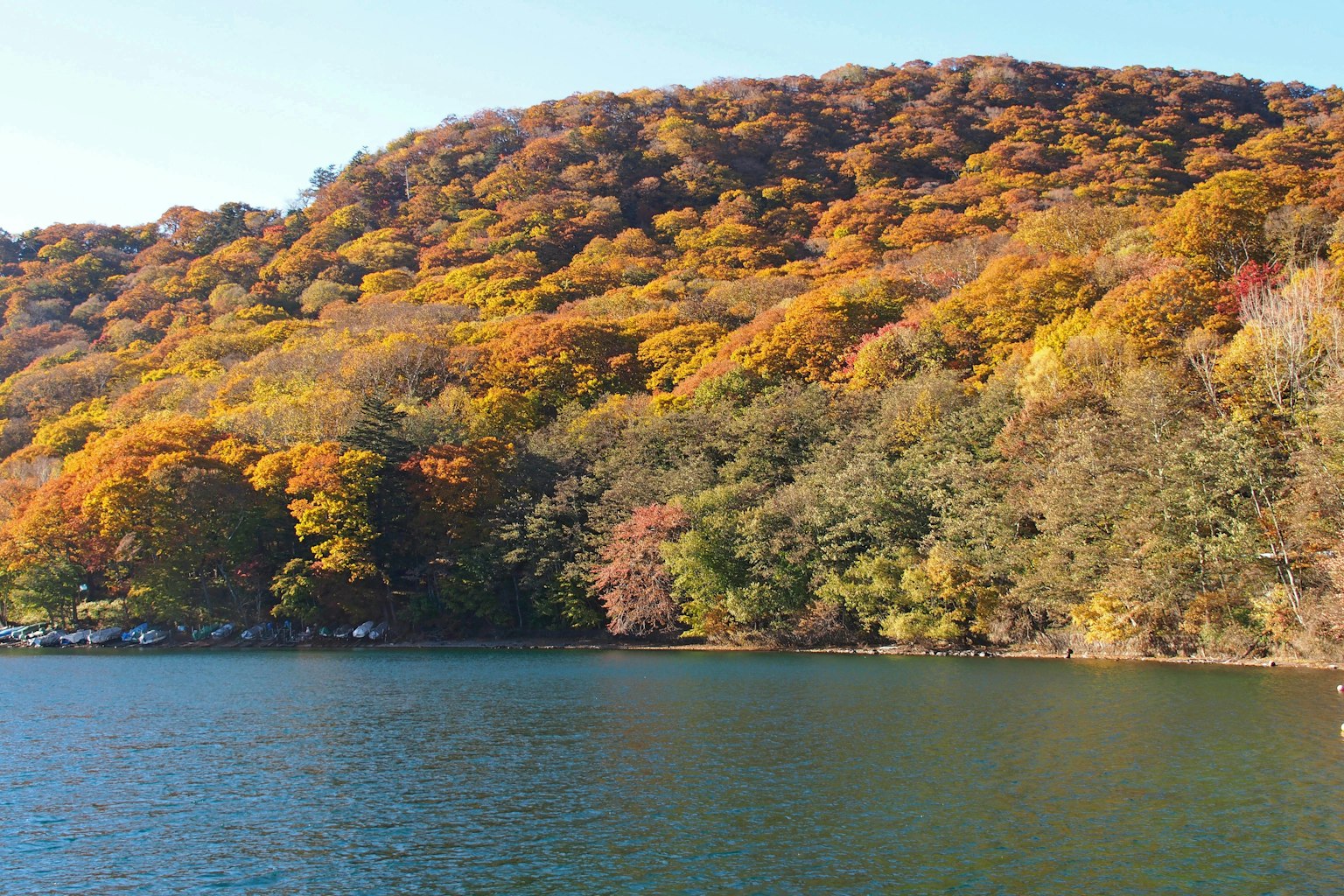 Malersicher Blick auf einen See umgeben von Herbstlaub