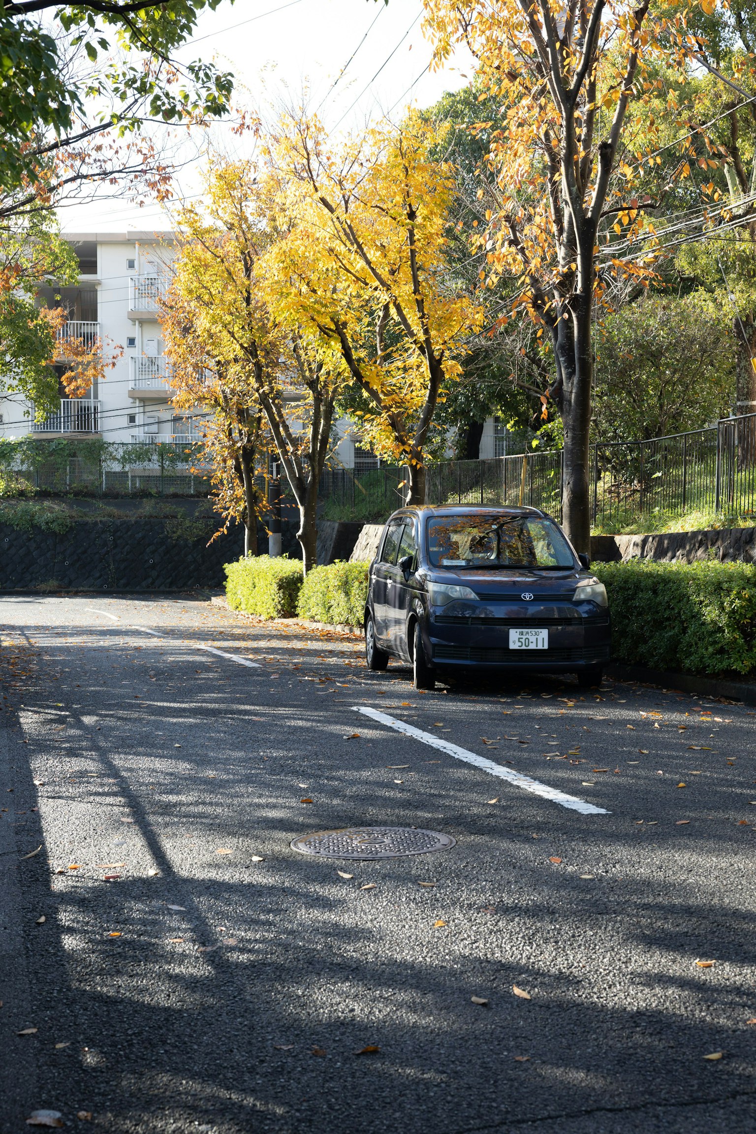 A black car parked on a quiet road surrounded by autumn trees
